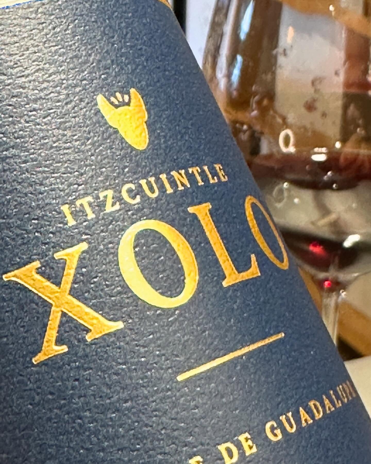 Xolo merlot (2022).
🇲🇽 Ensenada, Baja California 
🍇 Merlot
🏺12 meses barrica
#redwine #vinotinto #winestagram #winelover #instawine #winetasting #wine #catavino #wineporn #winetime #winegeek #wineinfluencer #wineoclock #cheers #sommelier #mexico #ensenada #valledeguadalupe #valledesanvicente #valledeojosnegros #merlot