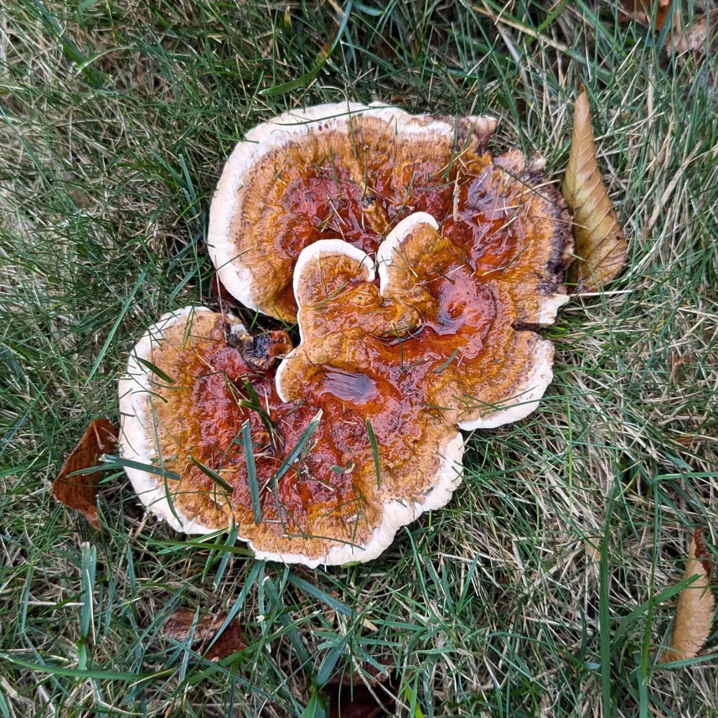 Closing up!! Thank you everyone who stopped by the sale today!!