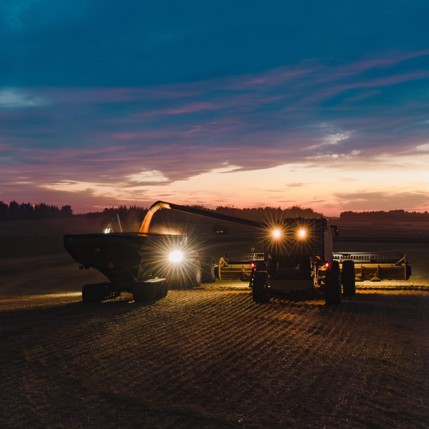 A glimpse of harvest 2024. πΎπ§‘