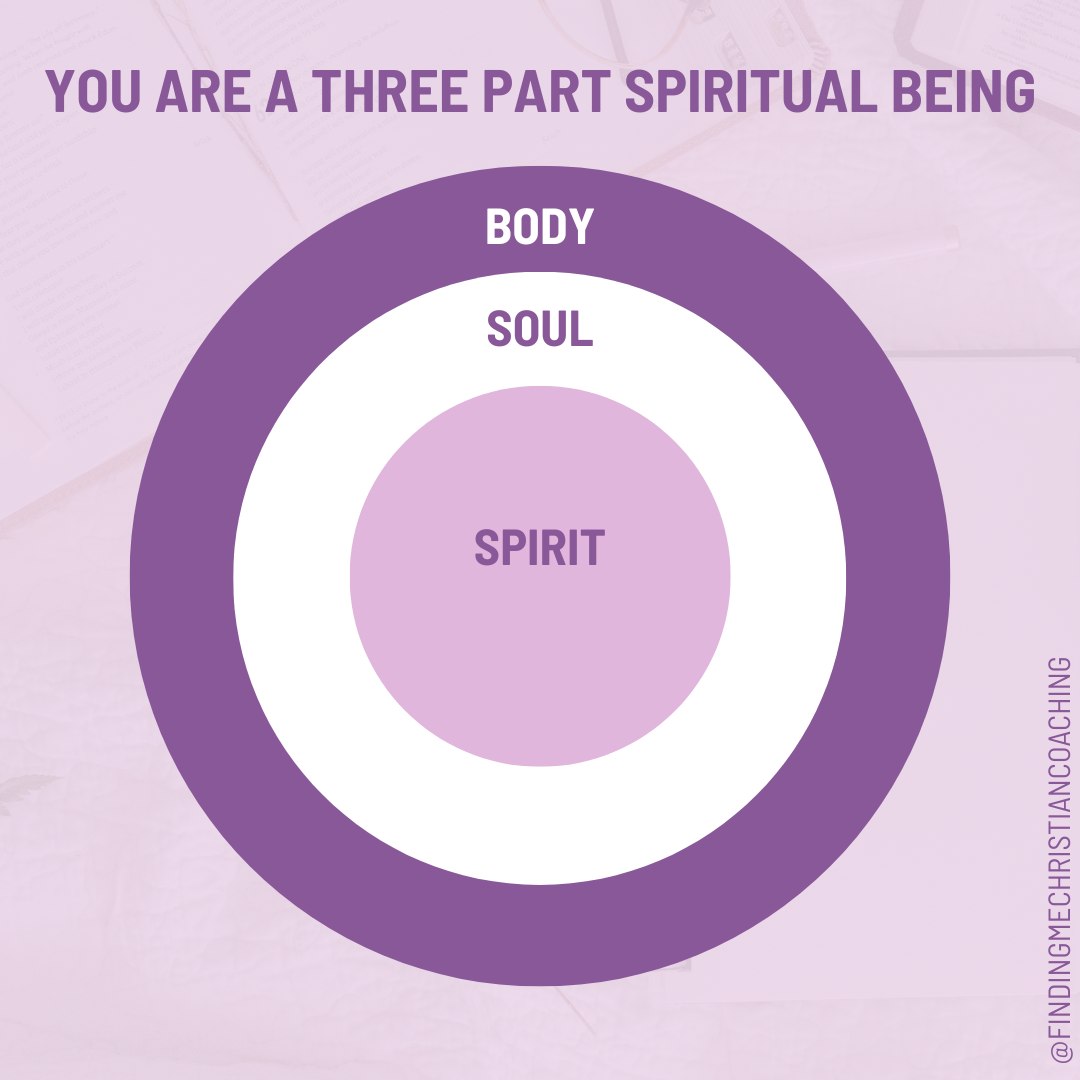 Being made in God's image, you are a three-part (body/soul/spirit) spiritual being. ✝💜
Your personality is part of your soul. 💯🌷
The Enneagram is a personality tool that helps you understand what's going on in your soul - why you think, feel and behave the way you do.
Did you know this is how I can help YOU, as a growth minded Christian woman, step into your God-given identity with grace so you can have more meaningful connections with yourself, God and others? ✝💜
I'd love to meet YOU and have a no-pressure conversation.
Schedule a call today at the LINK in my BIO. 👆
#freedom #identityinChrist #childofGod #forgiven #perspective #positiveselftalk #Biblicaltruth #findingyou #lifeinChrist #enneagram1 #enneagram2 #enneagram3 #enneagram4 #enneagram5 #enneagram6 #enneagram7 #enneagram8 #enneagram9 #lifecoachforChristianwomen #Enneagramcoach #personalgrowth #soulcare #holistic #madeinGodsimage #soul #spirit #body #discoverycall #selfmanagement