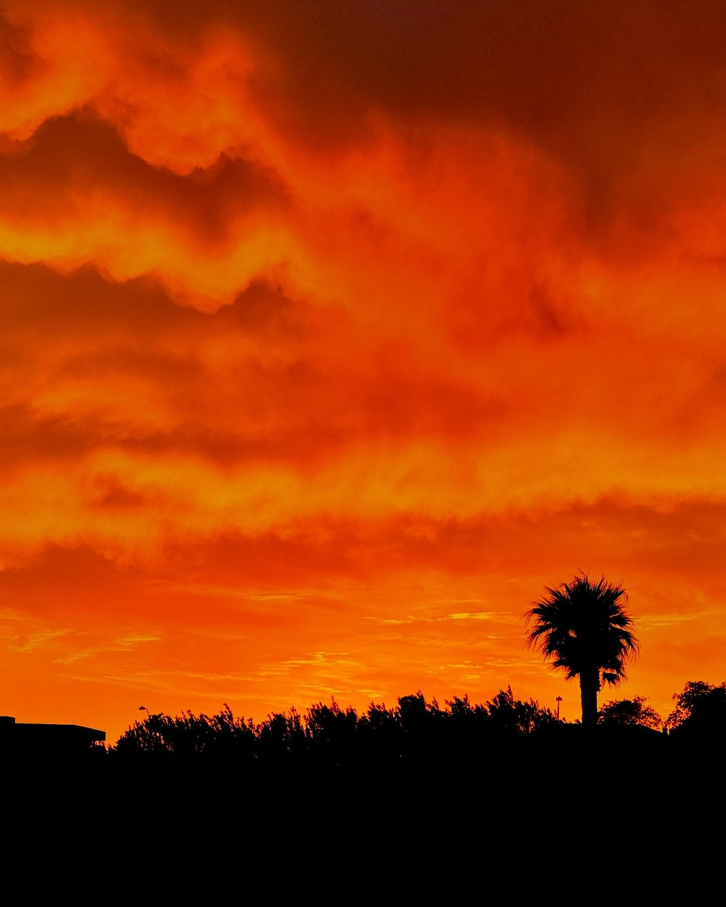 World on 🔥
•
•
•
#desertvibes #desertphotography #southwest #yeehaw #sunsetpics #musicandart #stavrosfirst #explore #onfire #iphonephotography #hdr #landscapeart