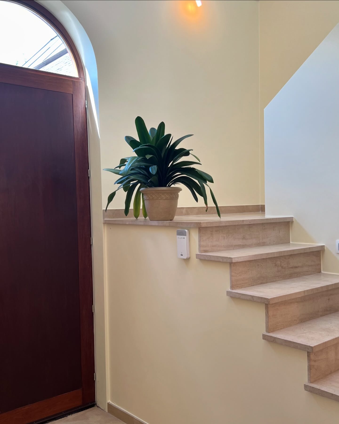 Projet Folx : ✨ Nouvelle énergie dans la maison ! ✨
Lors de ma dernière visite chez mes clients, j’ai immédiatement ressenti une transformation dès l’entrée. 💫
Grâce aux travaux de rafraîchissement, de rénovation, et à l’aménagement des pièces avec leurs meubles, leur maison a retrouvé une nouvelle vie après une année d’hibernation. 🔄
Chaque pièce a été repensée avec des couleurs différentes sur les murs, parfaitement adaptées à l’ambiance souhaitée. 🎨 De nouveaux sols ont été installés dans certaines pièces, tout en harmonie avec les sols existants, pour créer un ensemble fluide et cohérent. 👌🏽
Aujourd’hui, ils profitent pleinement de leur intérieur : plus de luminosité, davantage d’espace, et une connexion renforcée avec la nature grâce aux vues sur leur jardin. 🌿🏡
Le résultat ? Des clients apaisés, sereins, et un lieu qui leur ressemble enfin. 🏡✨
#Rénovation #CouleursSurMesure #NouveauxSols #HarmonieDesEspaces #IntérieurApaisant #ConnexionAvecLaNature #ArchitecteDIntérieur