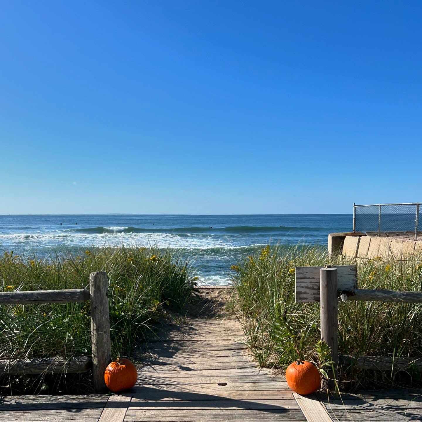 This beautiful fall day has us dreaming about next Summer!
.
The 2025 Calendar is coming together - send your requests to us via email to hold your spot. Remaining availability will be launched at the end of the month.
.
.
.
#matunuck #beach #rhodeisland #fall #getaway #summer #vacation #ocean #southcountyri