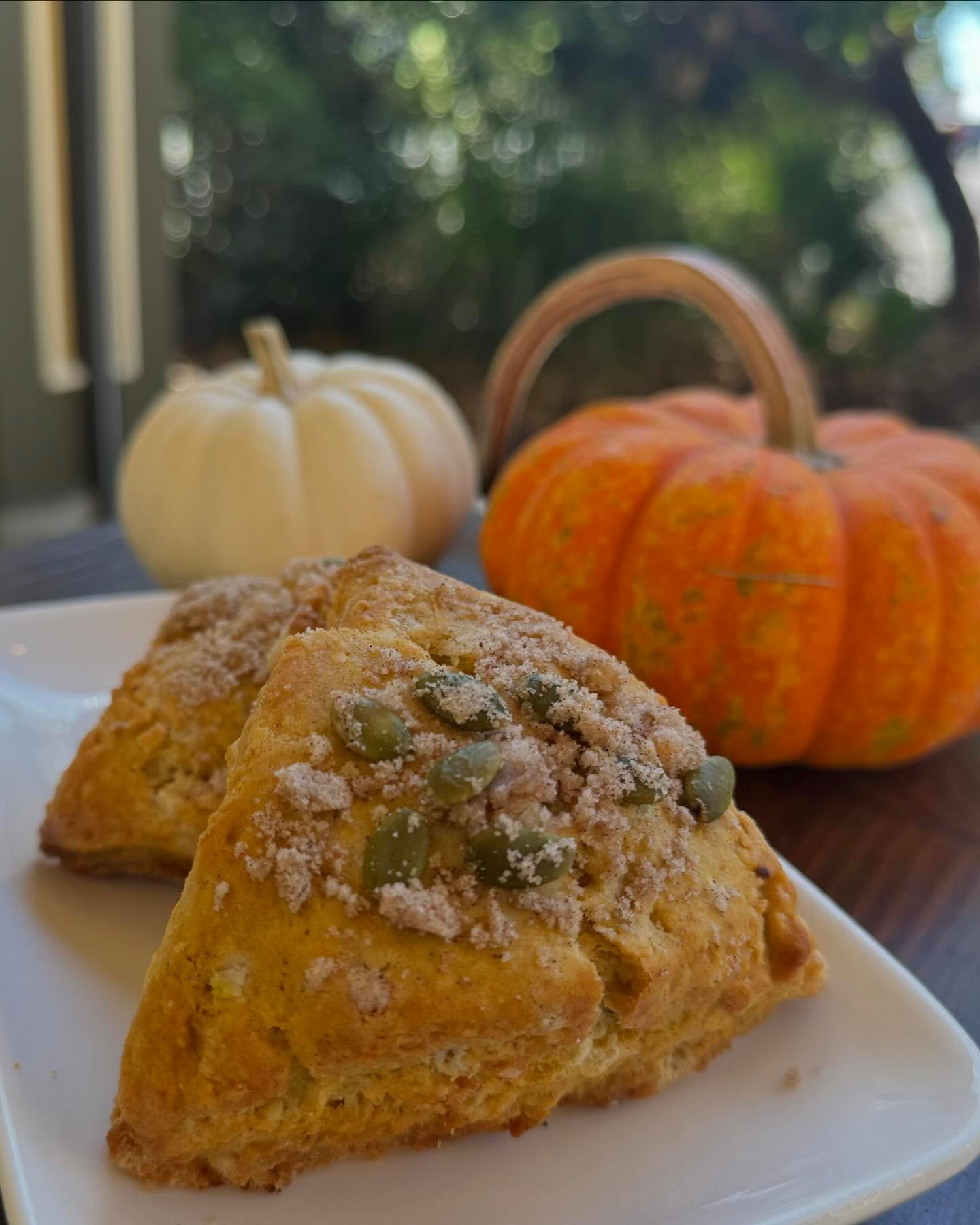 Fall specials in full swing! Stay tuned for more seasonal flavors! 🍂
#pumpkinscone #pepitastruesel #cayucosca #bijoubakery #centralcoastcabakery #cayucosbakery #805foodie #slocountybakery #hwy1
