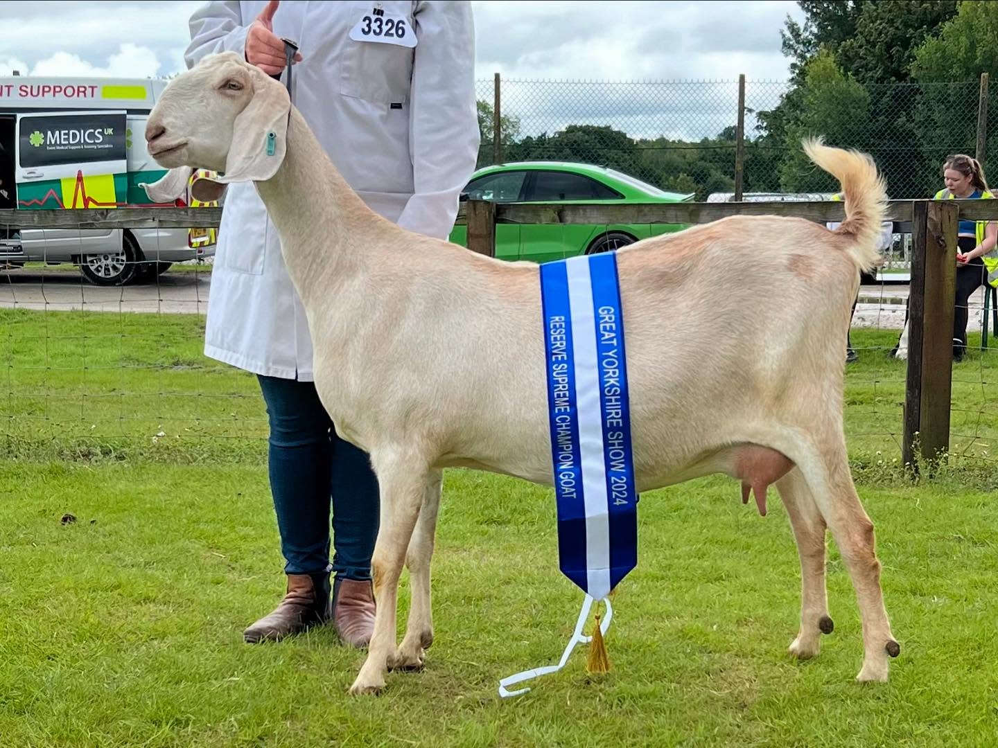 Elaria is officially a BREED CHAMPION 🏵️
She’s finished her first show season as a milker with 5 BCC’s, 2 CC’s, 2 IPCC’s with 1 Best in Show & 2 Reserves.
Super proud of her and can’t wait to see how she does next year! 😍