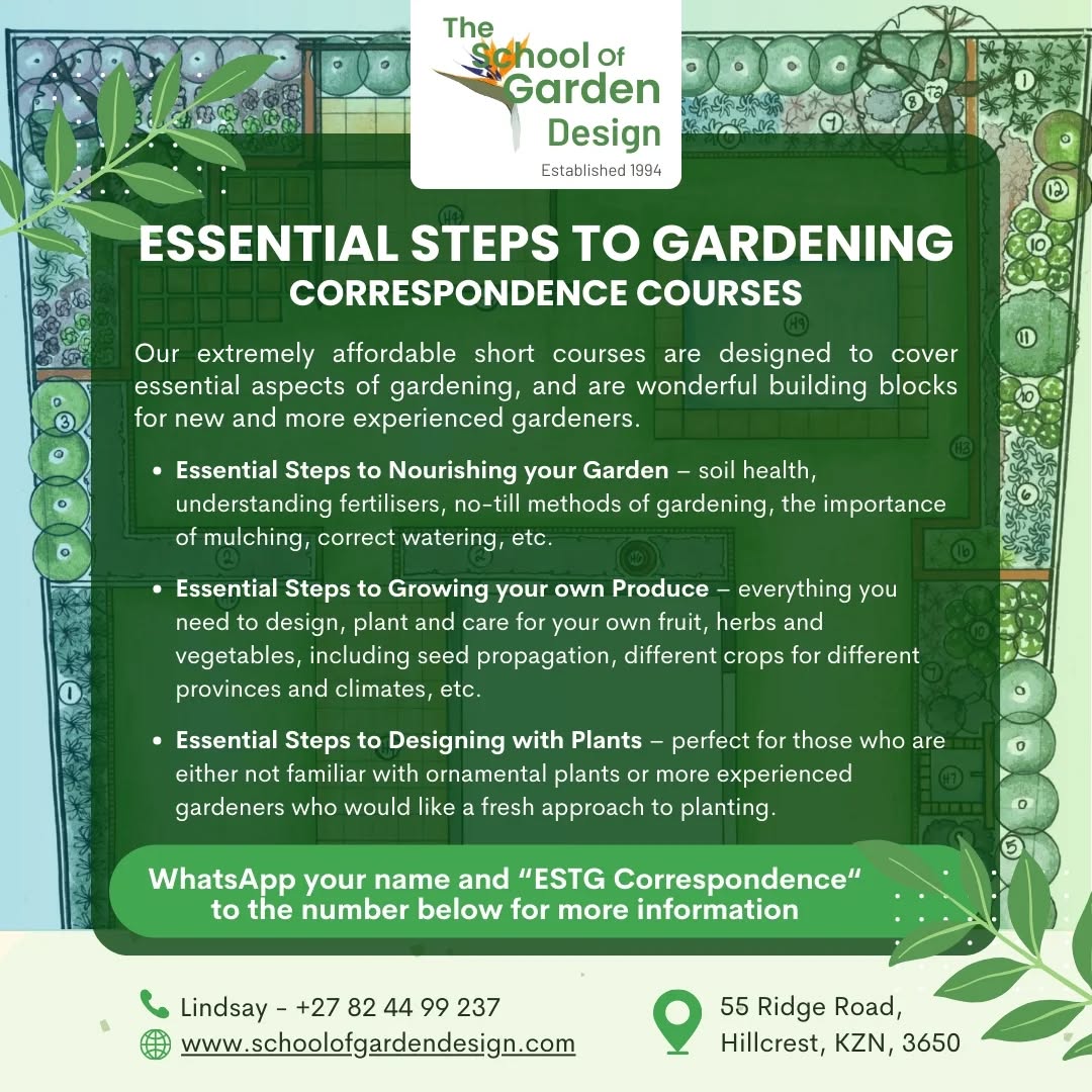 These short courses - with more to come soon - are perfect for anyone wanting to learn more about soil health, feeding the garden, growing food in even the smallest space and creating beautiful spaces with the right plants for one's climate. Key to our teaching is sustainability, responsibility to the environment, and creating habitats for wildlife.
#gardendesign #sustainability #wildlife #visualdelights #indigenousplants