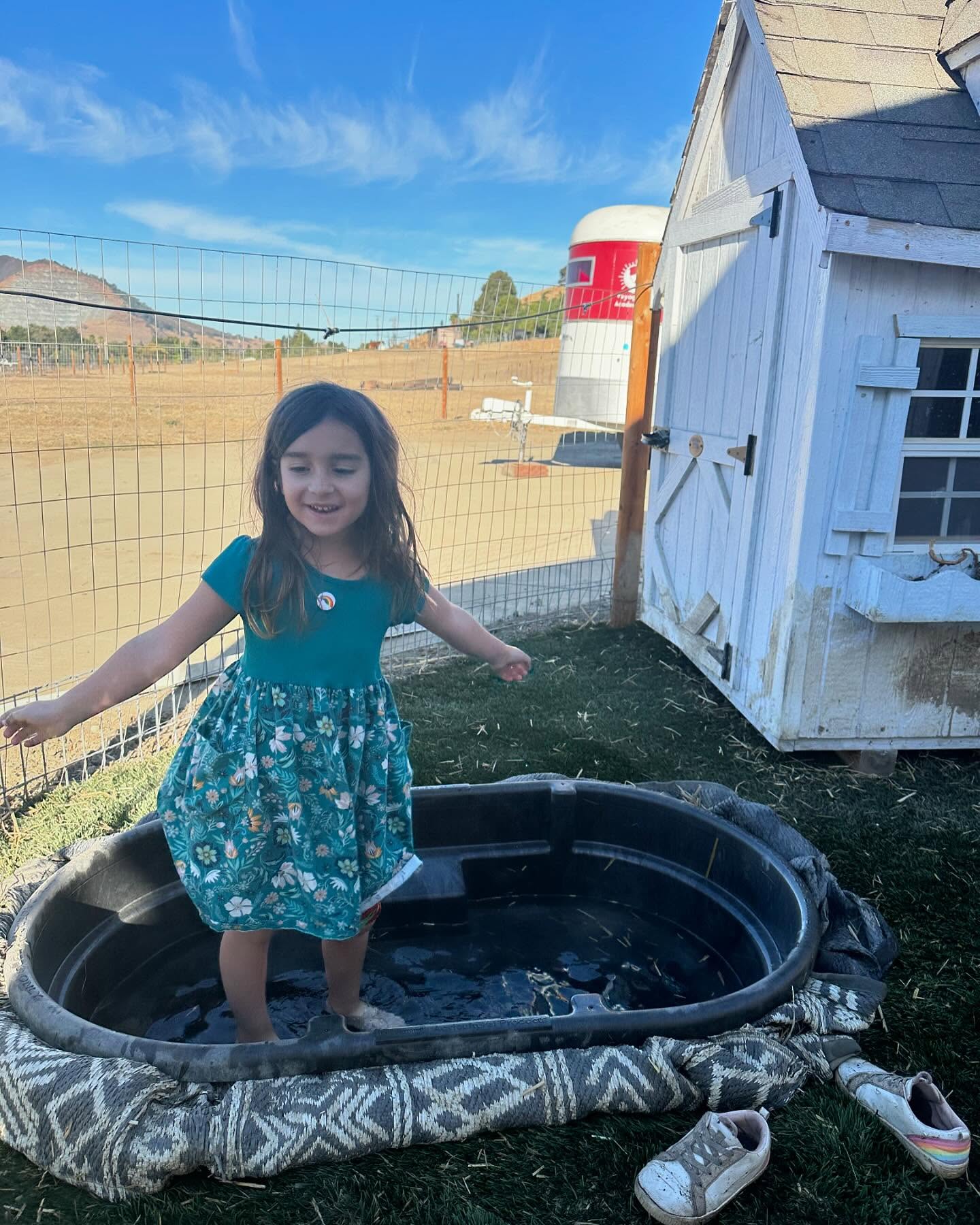 When you’re trying to convince the piggies to join you in the pool…. #threelittlepigs #sanctuarylife #5andthrivin