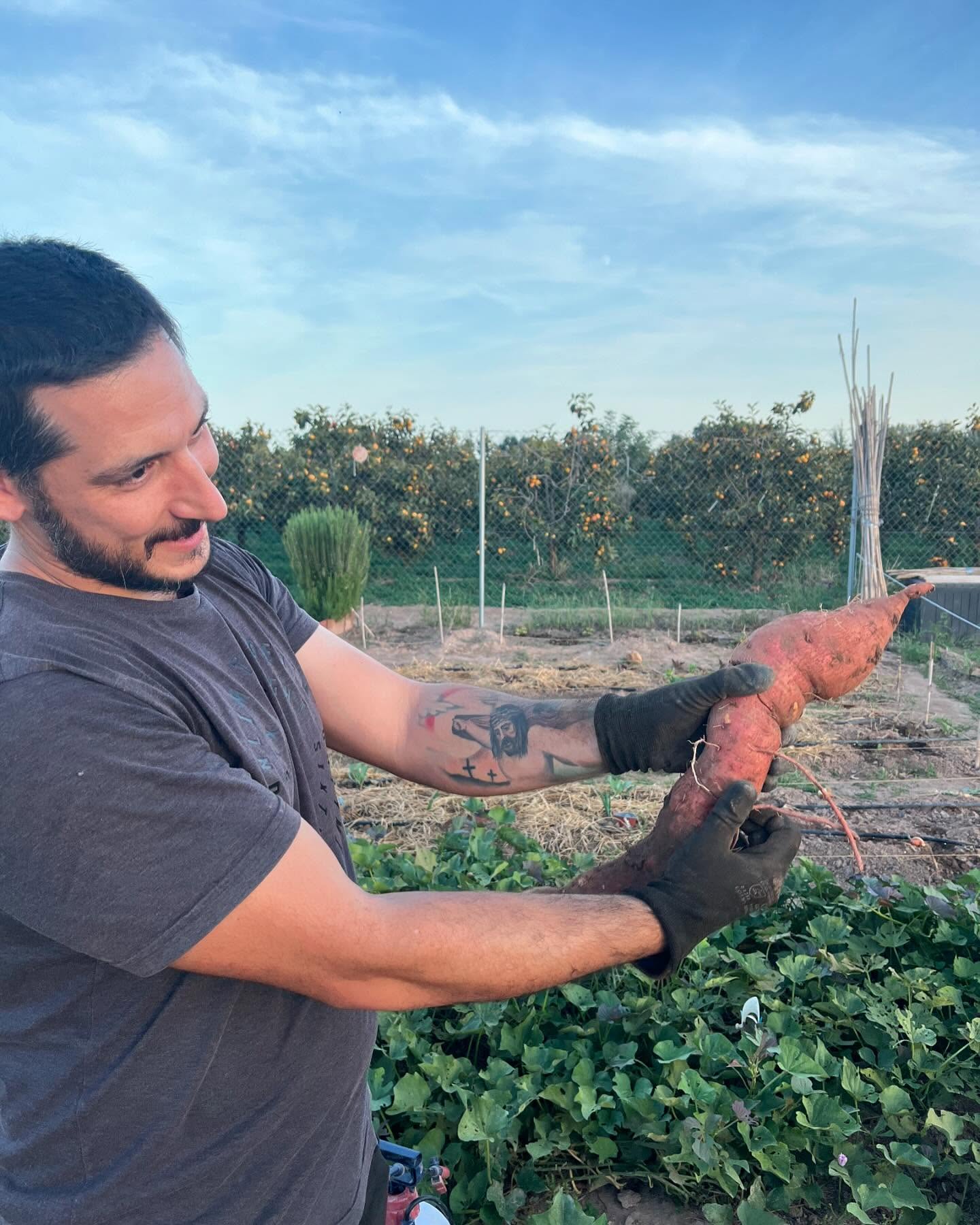 La familia huertera entre mates y cosechas!! 🎉🙌🏻🍠 Aún quedan parcelas disponibles!! Disfruta en familia de cultivar tus propios alimentos agro ecológicos! # te esperamos!!!