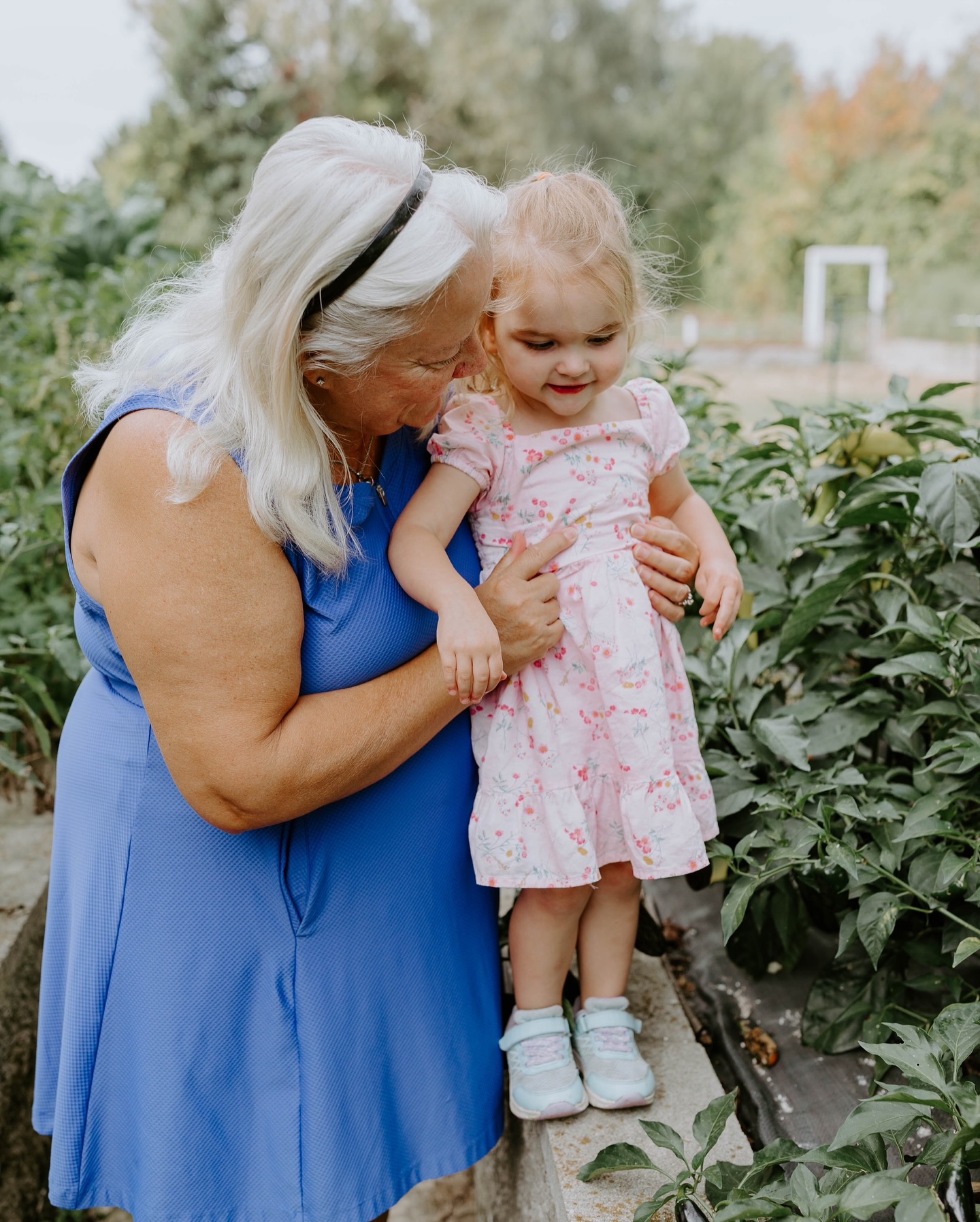 ✨Grandma’s garden✨
A place where love grows and memories are made. 🤍
