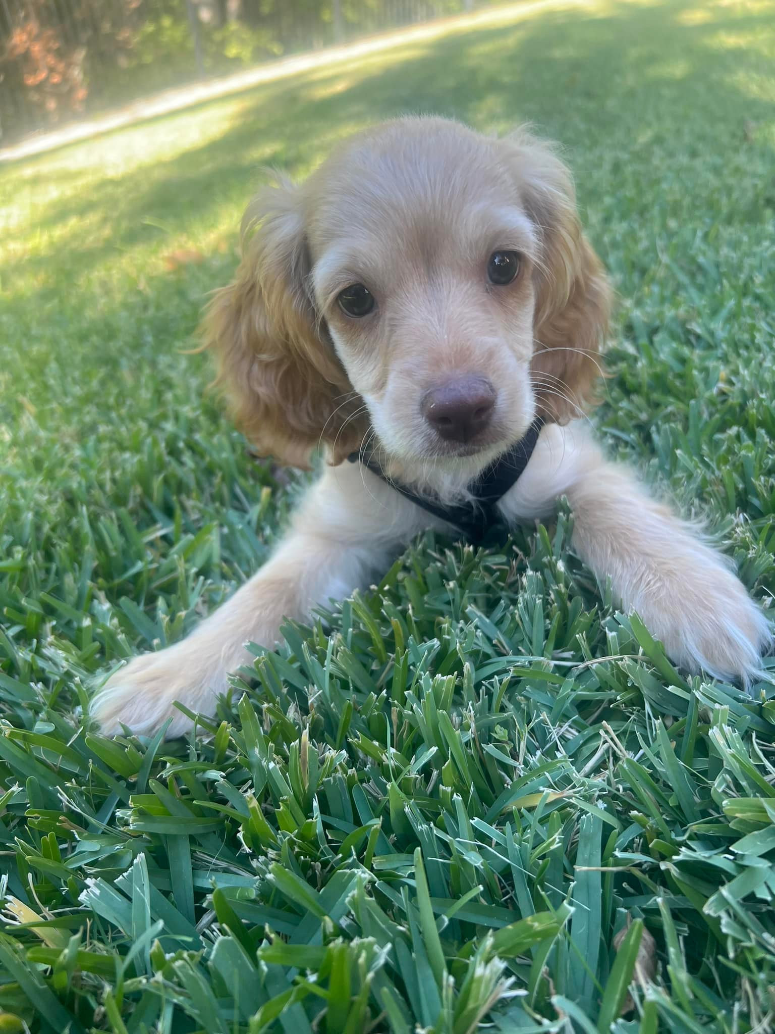 Meet the newest Armson. His name is Luka! And we’re totally in ❤️🥹