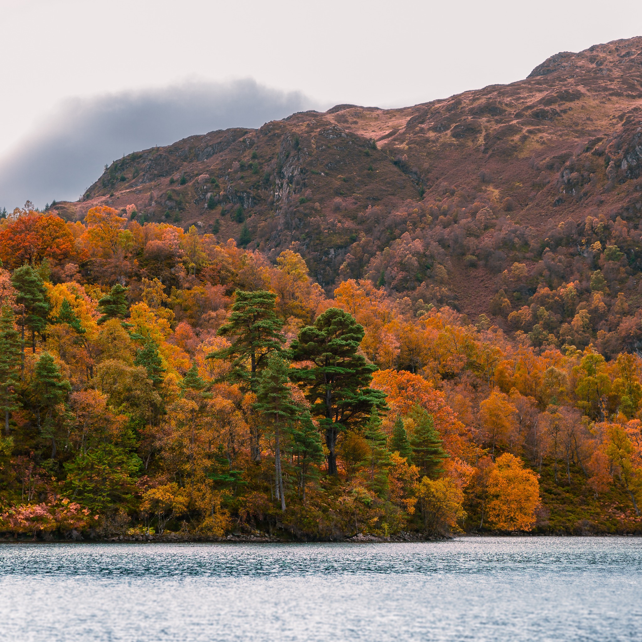Across the calm waters of Loch Katrine, where the landscape tells stories of ancient woodlands and rugged peaks. This loch was once a lifeline, supplying fresh water to Glasgow in the 19th century - and its beauty remains just as vital today.
#lochkatrine #scotlandlandscape #trossachsnationalpark #scottishhighlands #scotlandexplorer #lochs #landscape_lovers #natureheritage #scenicviews #scotlandoutdoors #glasgowhistory #exploretrossachs #scotlandtrip #scotlandinspired #hiddenscotland #mountainviews #traveltheuk #calmlakes #scotlandisnow #scotlandstories #uklandscapes #scenic_scotland #wildandfree #beautyofscotland #majesticmountains