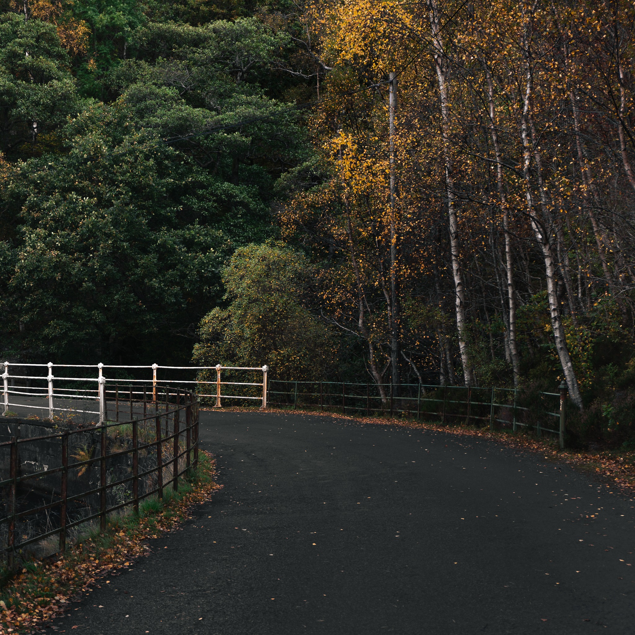 Where the road bends, the season unveils its quiet magic.
#autumnvibes #scottishautumn #trossachs #forestroad #fallcolors #explorescotland #scotlandisnow #visituk #scottishlandscape #goldenhour #wanderingscotland #lochtrossachs #scenicroute #naturelovers #wildscotland #beautifuldestinations #seasonalbeauty #intothewoods #scenicbritain #earthpix #fallfoliage #outdoorphotography #landscapelove #hiddenbeauty #scottishhighlands #autumnwalks