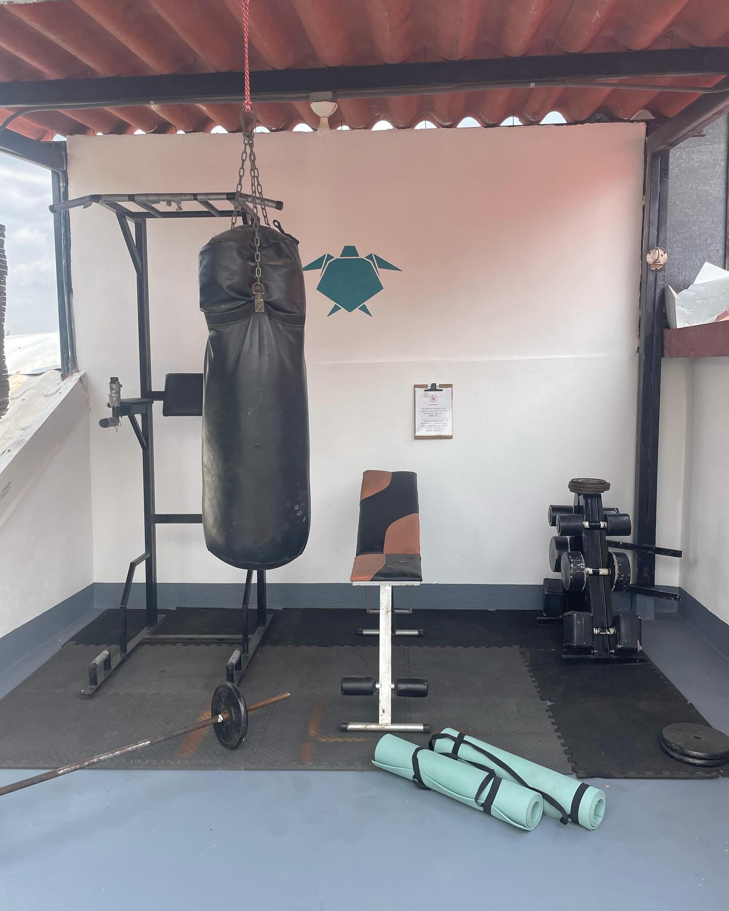 Do you know our little La Tortuga Gym? How about some fitness before breakfast? Our fitness area is at your disposal during your stay. Yoga mats are also available at our reception. 💪🥊🏋️
#león #nicaragua🇳🇮 #nicaragua #nicaraguatravel #travel #sport #fitness #fitnessmotivation #gym #yoga #latortugabooluda #hostel #hostels #hostelworld #hostellife😍