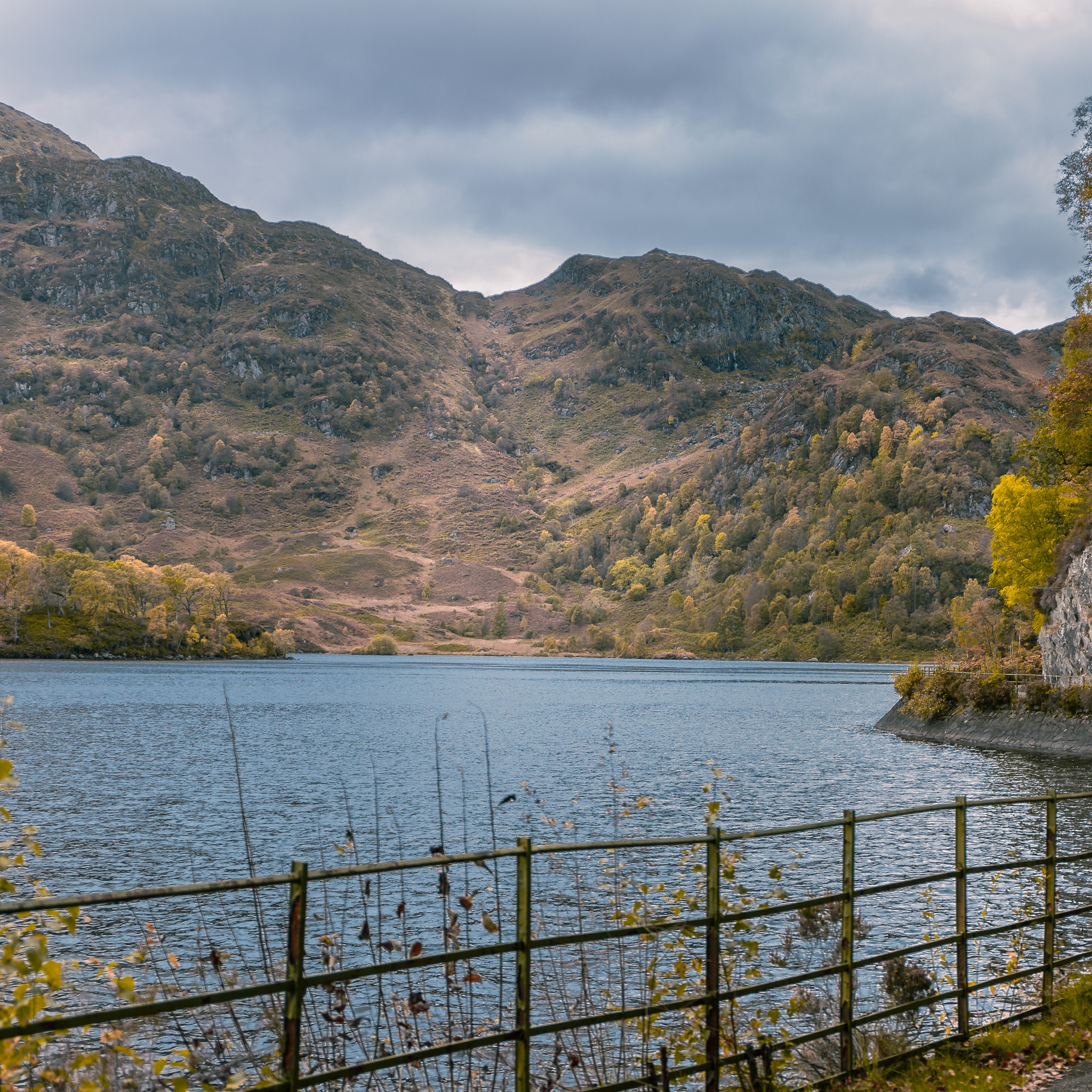 A welcoming view at the most eastern point of Loch Katrine from near Trossachs Pier.
#lochkatrine #trossachs #wildscotland #scottishlandscape #lochside #moodylandscapes #scotlandexplore #landscape_lovers #scenicshots #quietmoments #scotlandtravel #traveluk #scotlandnature #landscapecaptures #exploremore #scottishscenery #rawscotland #earthvisuals #naturefocus #outdoorlifestyle #lochs #scotlandadventures #scotlandlandscape #wonderfulplaces #naturemood