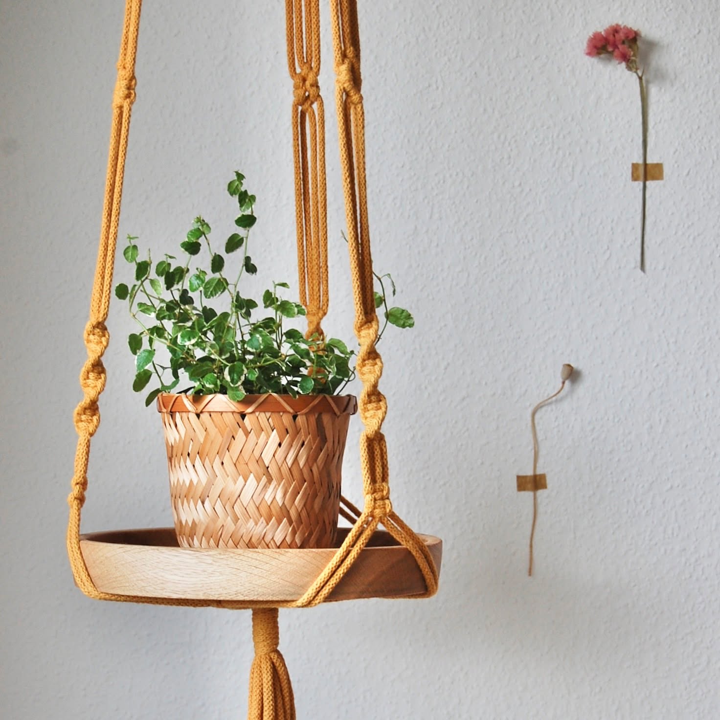 🕯️✨ Vůně a textil pro váš domov na Dizajntrhu! ✨🕯️
Dnes vám představujeme výběr značek, které vytváří svíčky a textil s osobitým šarmem. Přijďte objevit jedinečné kousky plné pohody, designu a elegance! 🌸
🩷 @macramek__ – Lucie Ryšavá z Rýmařova tvoří závěsy na květináče, poličky nebo popruhy z 100% recyklované bavlny. Ráda předává techniku macramé i na svých workshopech.
🩷 @aromique_luxurious_candles – Svíčky inspirované vůněmi Asie. Přenesou vás do světa sakur, orientálních trhů i meditativních chrámů.
🩷 @barka_storecz – Svíčky z voňavého srdce Šumavy, kde se snoubí design, víno a příroda. Každá vůně nese svůj příběh, který vás vtáhne do dokonalé atmosféry.
🩷 @rest.candle – Ručně lité svíčky z olomoucké dílny. S přírodním sójovým voskem, vonnými vosky a aroma difuzéry zútulní váš domov.
🩷 @linaihometextile – Lněné doplňky do domácnosti s originálním potiskem, které dodají vašemu prostoru nadčasovou krásu a praktičnost.
🩷 @jijinkuvsvet – Bytový textil a dekorace z Opavského Slezska, které zútulní každý kout vašeho domova, od postýlek po luxusní povlečení.
🩷 @intimatestories.sk – Elegantní oblečení a noční prádlo s vlastními autorskými potisky. Luxusní pyžama, košile a doplňky pro dámy i pány, vytvořené s respektem k přírodním materiálům.
Těšíme se na vás! 🛋️
#dizajntrh #voskovévýrobky #keramika #bytvydesign #lokalnitvorba #tradice #utulnydomov #vnitrniklid #macrame