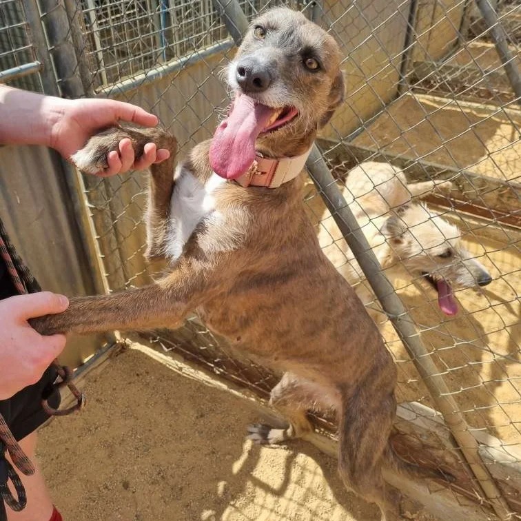 Gemma having a great time