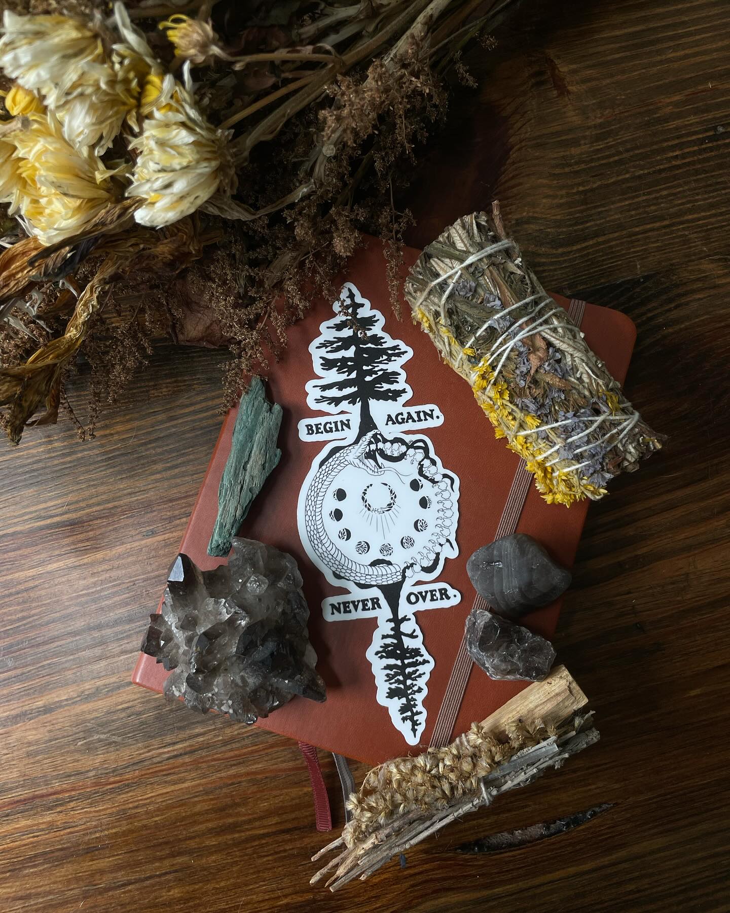 BIG NEWS!! 3 NEW stickers hit the shop today!! Aaaaaaaaand you can find us on Etsy now! Just search GeckoRidgeGraphics !
#graphicdesign #design #digitalart #digitalmarketing #graphicdesigner #graphics #creative #designinspiration #graphic #artist #digitalillustration #illustration #logodesign #smallbusiness #sketchbook #nature #flora #fauna #flowers #animals #trees #mountains #environment #designwork #procreate