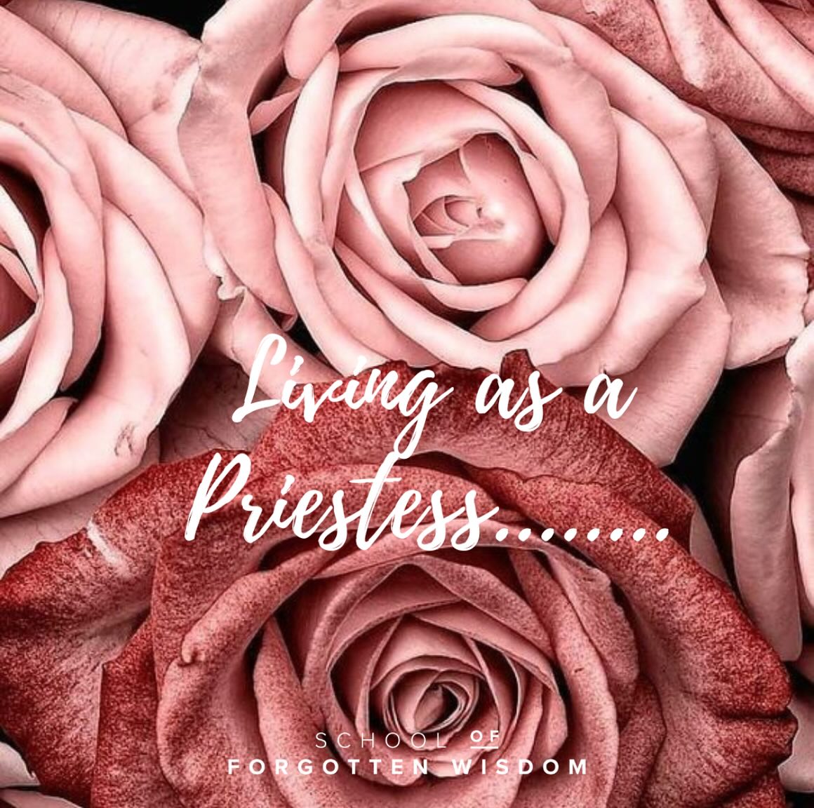 As we enter the 2nd temple of The Path of the Priestess container I am deeply humbled by the potency of this work and the positive affect it has on a women’s journey. The sacred portal of truth where she deepens into her self and her gifts.
The priestess codes have been suppressed for too long! It’s so exciting to see so many women waking up to their truth.
Deeply grateful 🙏
#pathofthepriestess#priestesscodes#priestessliving#livingasapriestess#giftofthefeminine#themysteries#mysteryschool#esotericgifts#femininegifts#rememberance#soulmission#earthmission#ancientteachings#ancientwisdom#rosecodes#divineknowledge