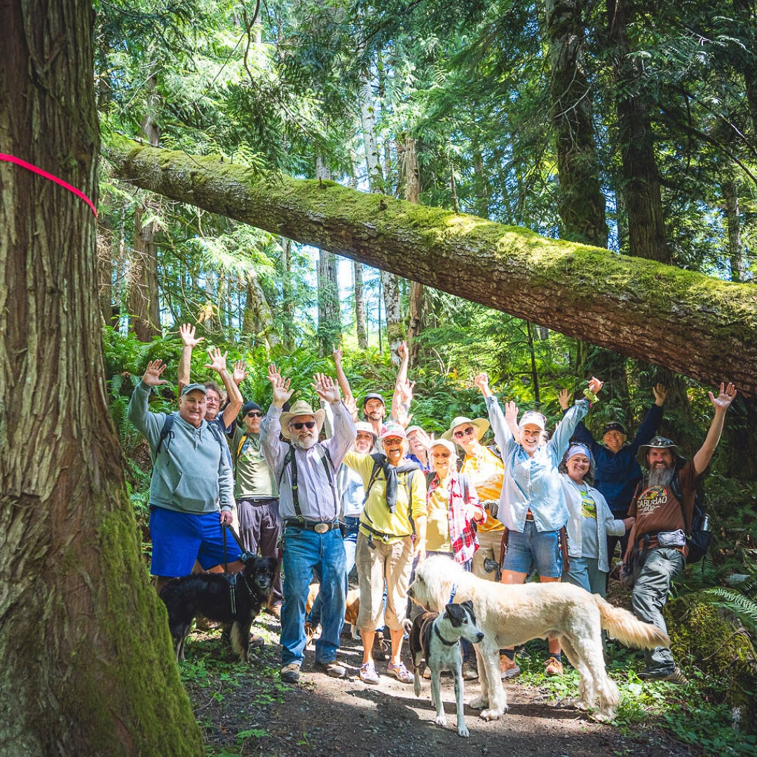Big thanks to everyone who joined us for a community hike through the “Doc Holliday” legacy forest in Clallam County last week.
Sadly, this forest is planned for auction on August 28th - less than 2 weeks away. @washdnr plans to sell this beautiful forest to the highest bidder for clear-cut logging of 74.5 acres of mature legacy forest, turning it into a plantation tree farm.
In the midst of the worsening climate crisis, we should be focused on conserving our forests, not cutting them down. PNW rainforests sequester and store carbon at extremely high rates, protect against wildfires, and are essential for watershed health and salmon.
Our legacy forests are worth more standing.
Photos by @forest2seaadventurephoto