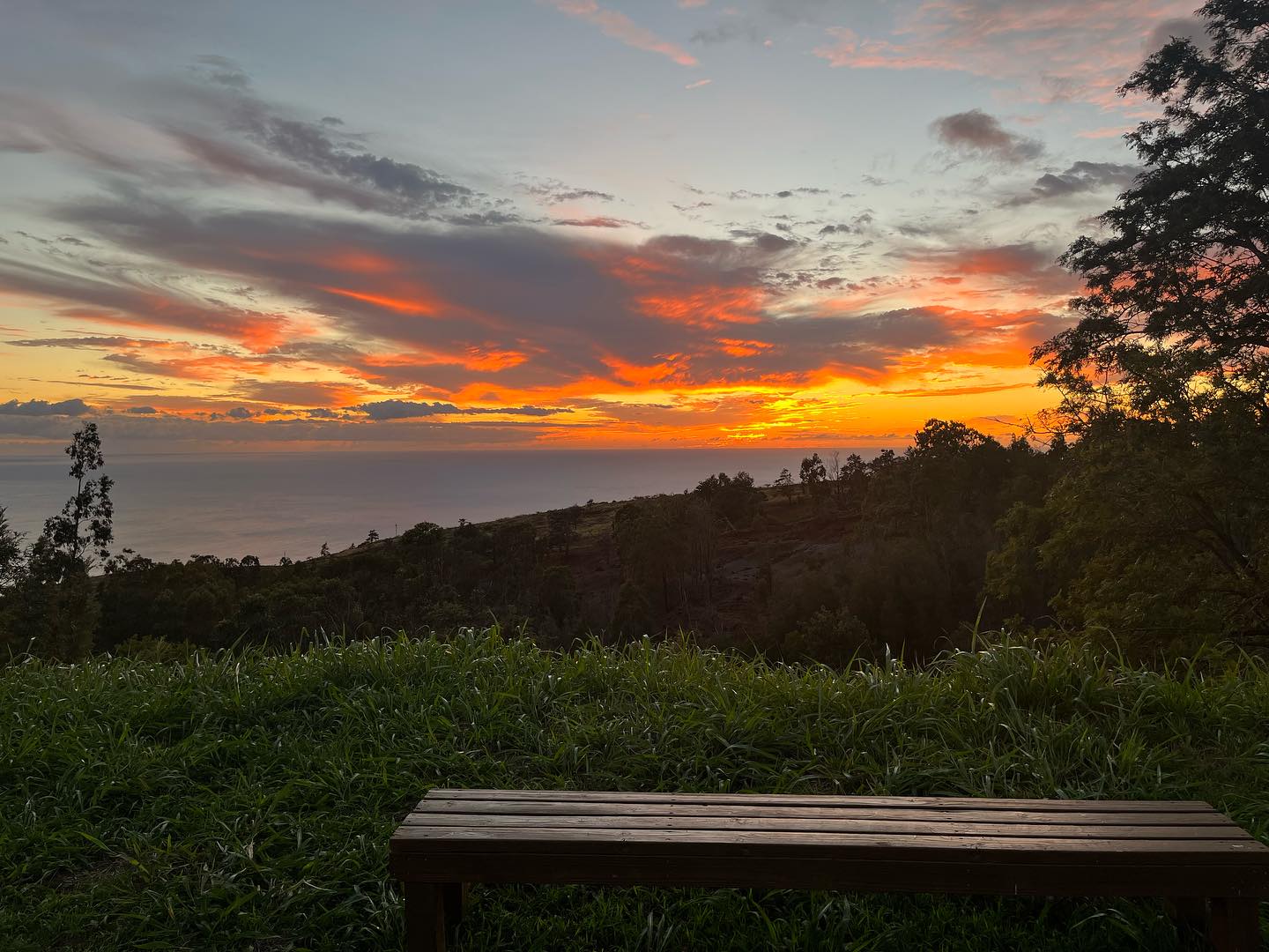 Come sit a while and enjoy the view!
