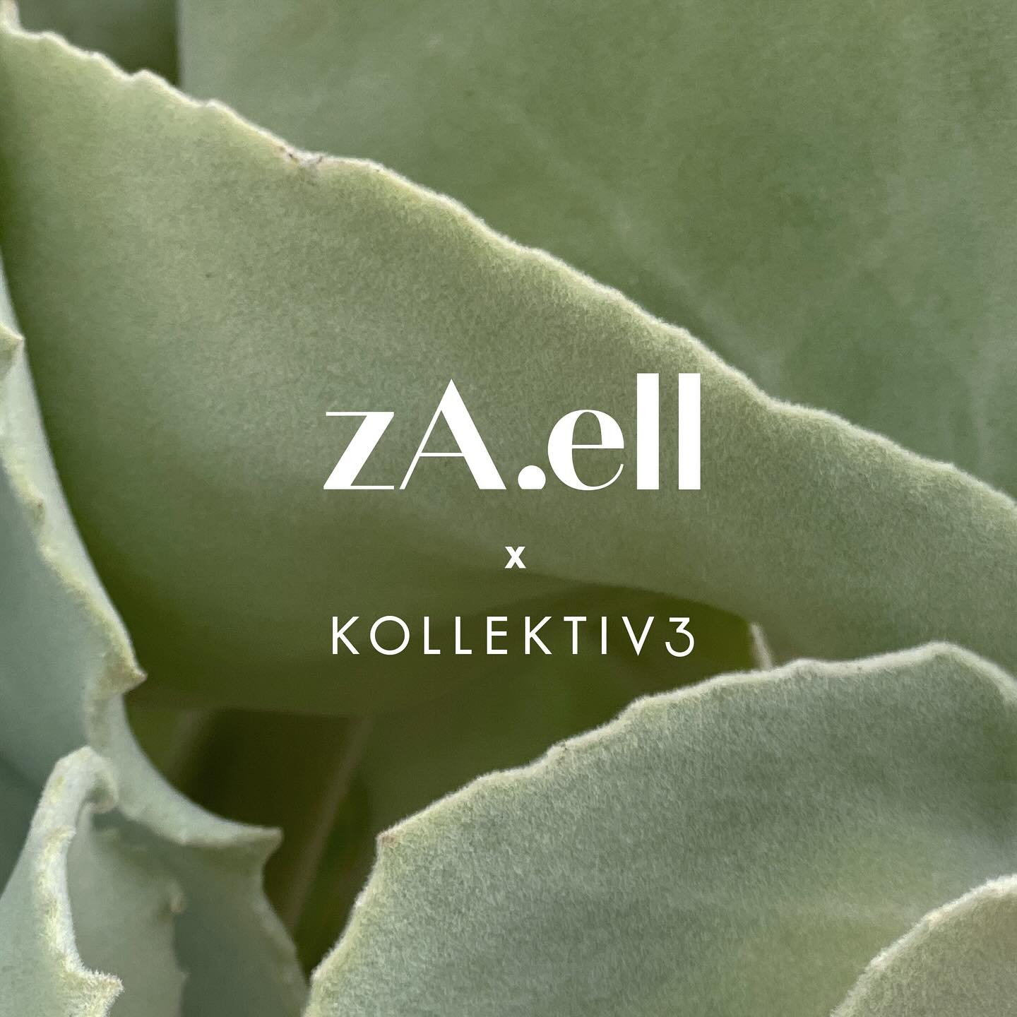 Unser neues Atelier. Drei Kreative. Ein Zusammenschluss. @zaell_official @nadia.ulitzka @cosabuena_ . Goldschmiedekunst. Ledertaschen und Accessoires.
KOLLEKTIV3:
Wo: Rosenstraße 18 in Saarbrücken Mitte
Unser Atelier ist nicht durchgängig geöffnet und trotzdem versuchen wir weitestgehend für euch da zu sein.
Falls ihr uns nicht vorfindet oder bei speziellen Anliegen, meldet euch gerne bei uns und wir vereinbaren einen Termin.
Kontakt:
mail@zaell.com
hallo@nadia-ulitzka.de
info@cosabuena.de