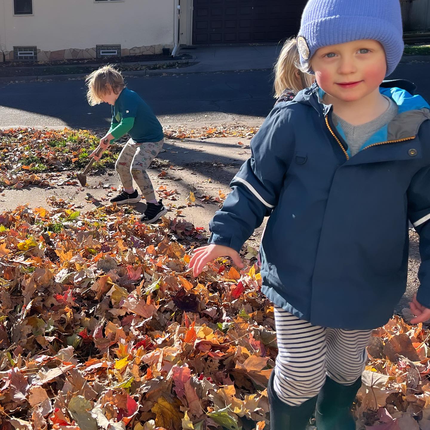 Leaves leaves and more leaves = endless fun. 🍁✨
#outdoorclassrooms #preschooloutside #littlehouse @larksongpreschool