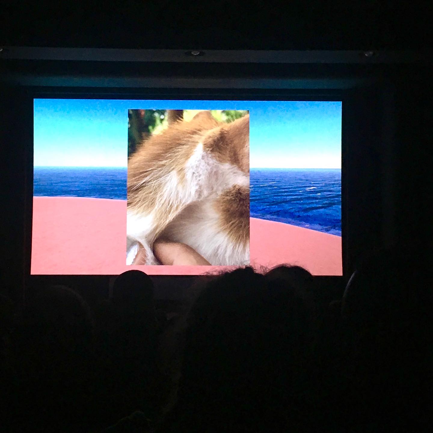 WHEN THE WORLD COMES TO AN END, I WILL HAVE LOVED YOU was in great company in the competition of @25fps_festival 2022. zagreb was lovely. people were lovely. films were super.
.
@when_the_world_comes_to_an_end
.
#femalefilmmaker #contemporaryart #avatar #cat #filmfestival #shortfilm