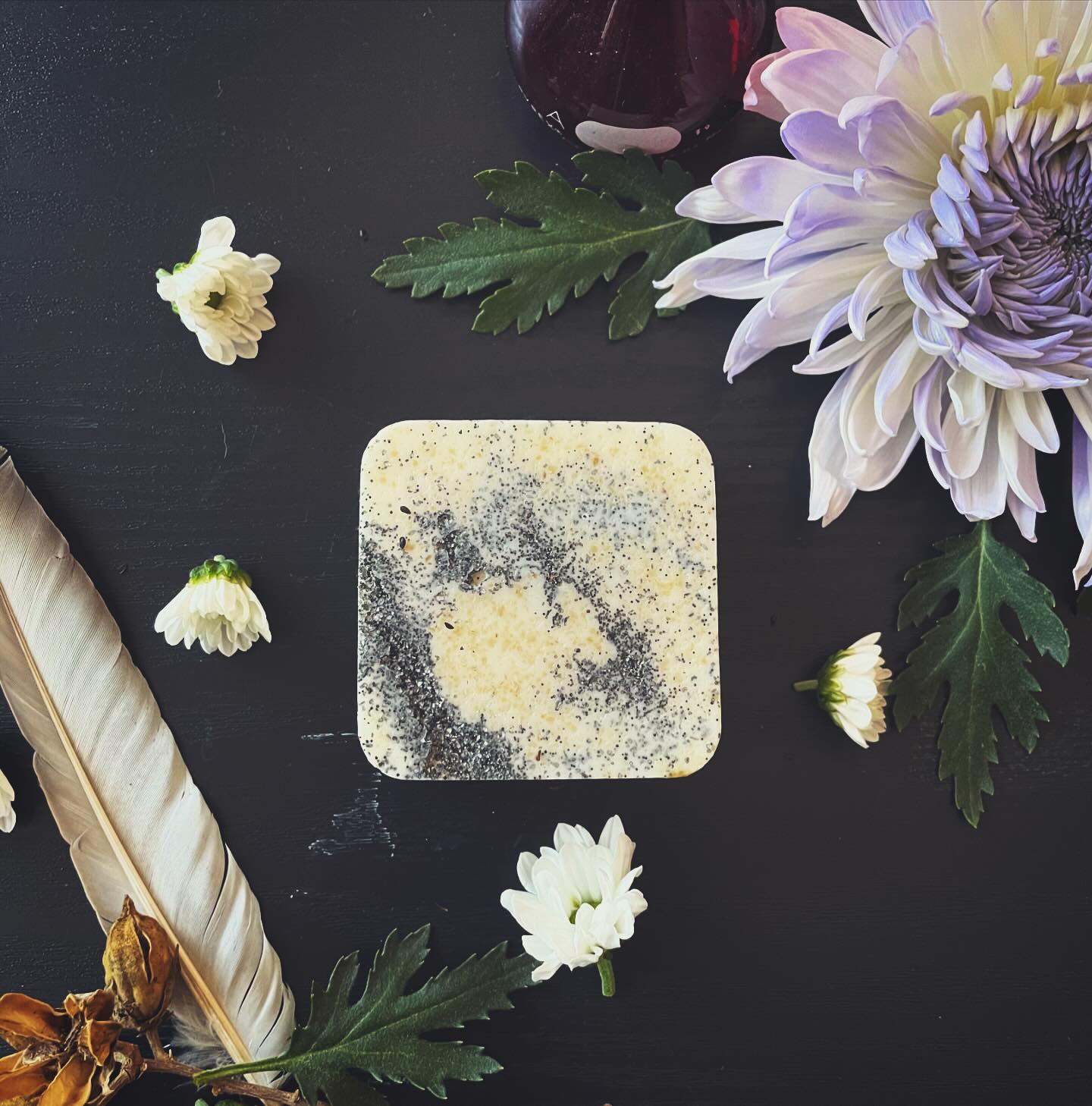 “Up from the sea, the wild north wind is blowing, under the sky’s gray arch. Smiling, I watch the shaken elm boughs, knowing It is the wind of March.”
-John Greenleaf Whittier The north wind soap by #Artifackt is a light, woodsy scent like a breath of fresh, cool, forest air. Black salts scrub, and rich oil blends moisturize, removing old cells and revealing soft, smooth skin. North wind is one of many new, and luxurious items in our new spring line. Stay tuned to see more. #artifacktspringcollection #artifacktapothecary #artifackt #botanical #floranandfauna #springtime #flowersofinstagram #handmadegoods #madeinva #naturalbodycare #rituals #bath #soap