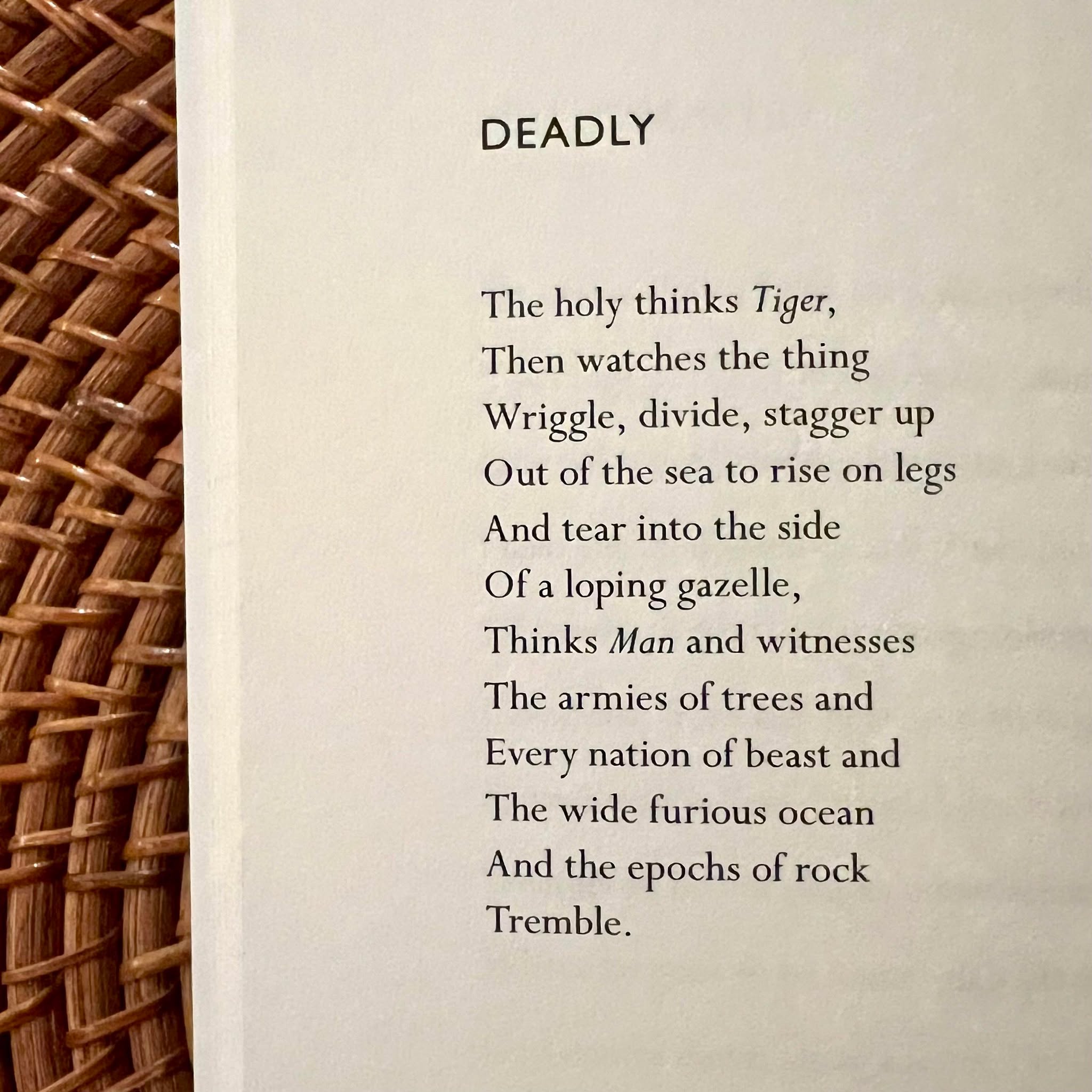 Today's #MicroPoemMonday is the poem, Deadly, by Tracy K. Smith and it is from her collection, Wade in the Water. If you have not heard of Tracy K Smith, she is definitely someone to put on your radar. Not only was she the 22nd Poet Laureate of the United States, but she is also the winner of a Pulitzer Prize. What a Queen.
Tags:
#NaturePoem #NaturePoetry #WadeInTheWater #TracyKSmith #MicroPoetry #ShortPoems