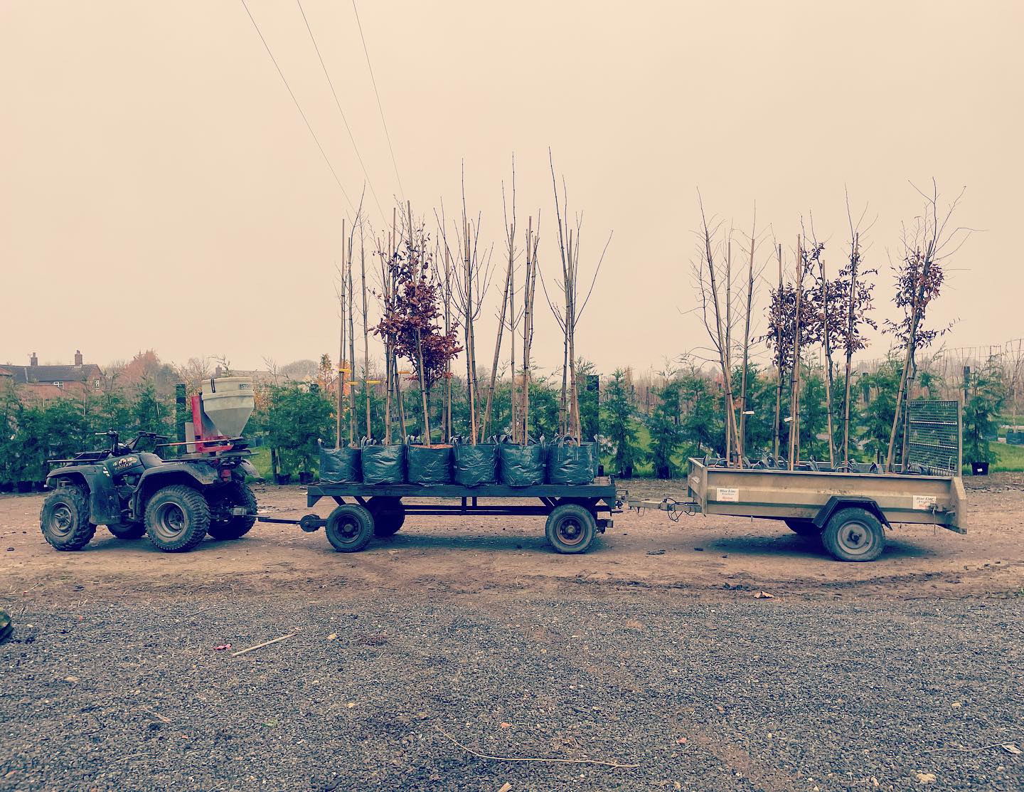 Tree train 🚜🌳🌲🌳🌲