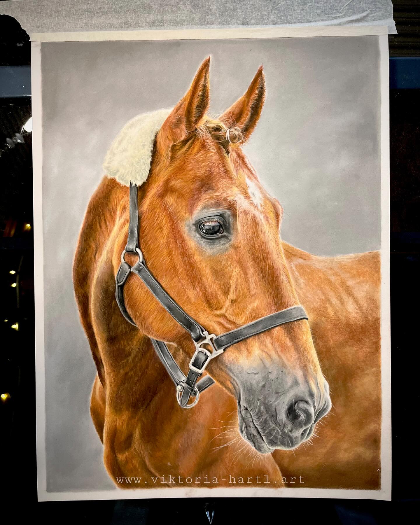 ✨Das fertige Pastellporträt✨
Eingerahmt und hinter Glas hat diese Zeichnung nun ihren Platz bei ihrem Menschen gefunden.
🤎🧡🤎🧡🤎🧡
Es ist immer wieder ganz besonders, solche Bilder zu zeichnen, denn man hält hier nicht nur das Motiv fest, sondern auch eine Geschichte.
Die Momente, Erinnerungen, das Erlebte, eben eine ganze Geschichte zweier Seelen, die eine Zeit lang ihren Weg gemeinsam gegangen sind.
Das berührt mich an meiner Arbeit immer wieder, vor allem, wenn so mancher Begleiter schon ganz wo anders ist und über die weiten Regenbogenfelder läuft.🌈💫
.
.
.
.
.
.
#pastell #zeichnen #pferdeportrait #pferde #pferdeliebe #horsedrawing #horses #pastelpencils #cretacolor #stabilocarbothello #panpastel #commissionart #equineart #artbyviktoria