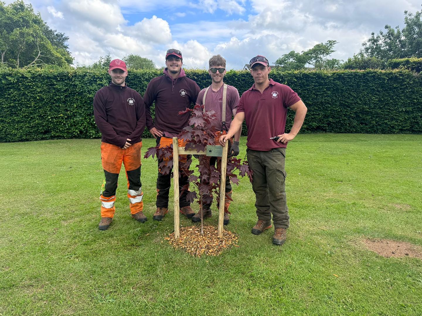 Nice to see the nursery trees in their new homes, 🌳 this one planted by the @crimsonkingstreeservice guys
