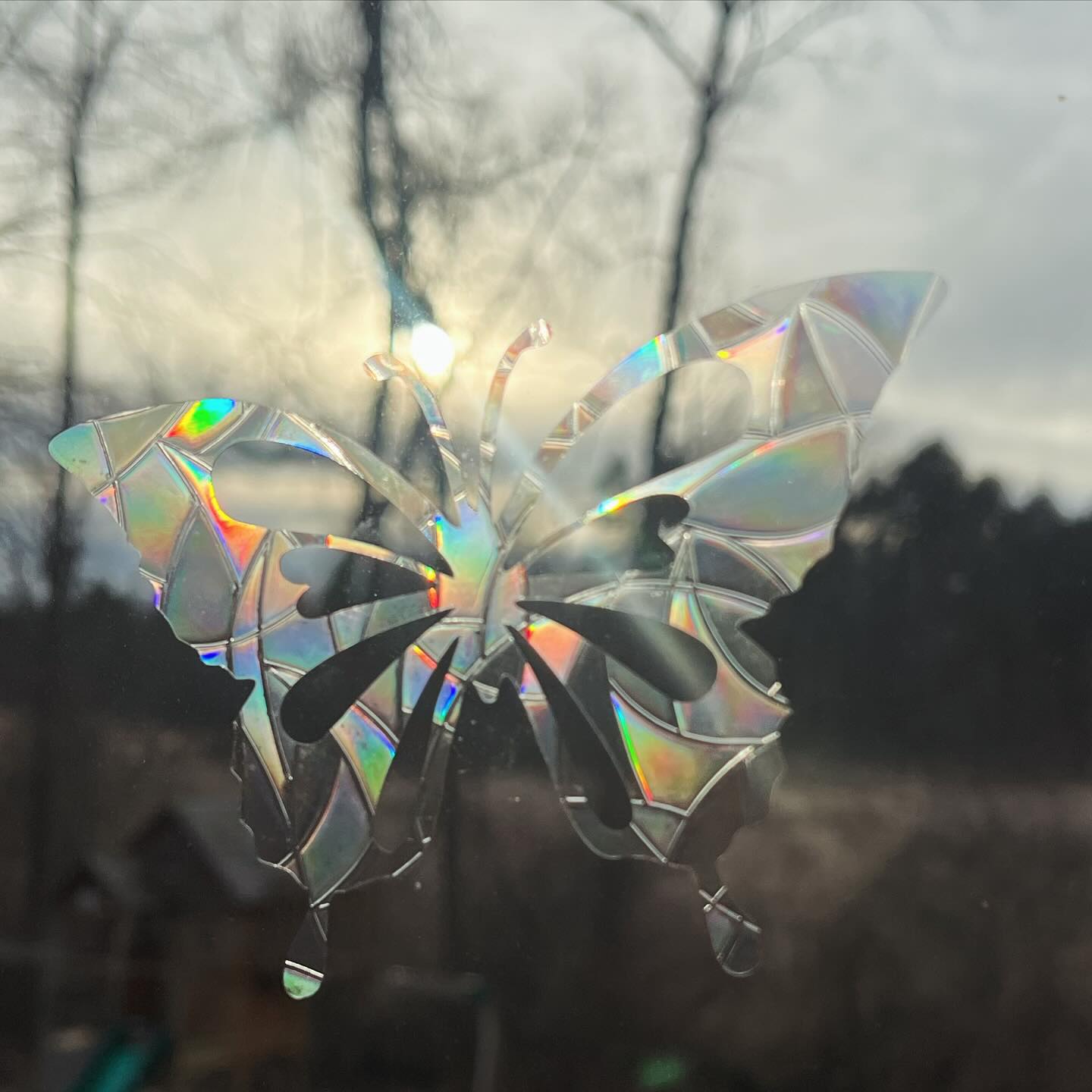 Sun {catchers + shine} instantly make my Wednesday better ✨
We have a list of upcoming donations. Who should we add to the list?