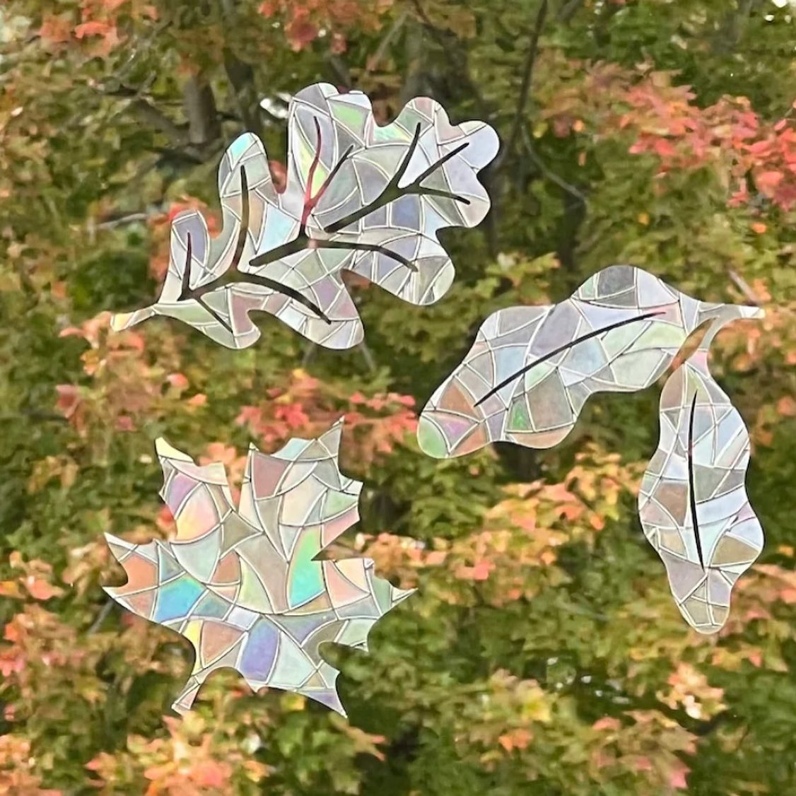 It’s finally starting to feel like Fall here! 🍁🍃
Check out our leaves and other Fall designs at the link in our bio.