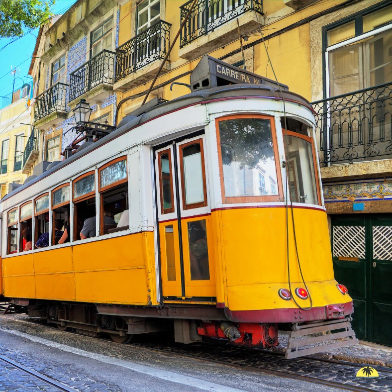 𝐄́𝐯𝐚𝐬𝐢𝐨𝐧 𝐞𝐧𝐬𝐨𝐥𝐞𝐢𝐥𝐥𝐞́𝐞 𝐚̀ 𝐋𝐢𝐬𝐛𝐨𝐧𝐧𝐞☀️
Prêt(e) à découvrir Lisbonne le temps d'un week-end prolongé ? 🇵🇹
De la découverte des quartiers historiques aux plages de sable fin, en passant par la savoureuse gastronomie portugaise, laisse-toi séduire par le charme de la capitale portugaise. ✈️
#Lisbonne #WeekEndProlongé #Voyage #Romont #romontregion #fribourgregion