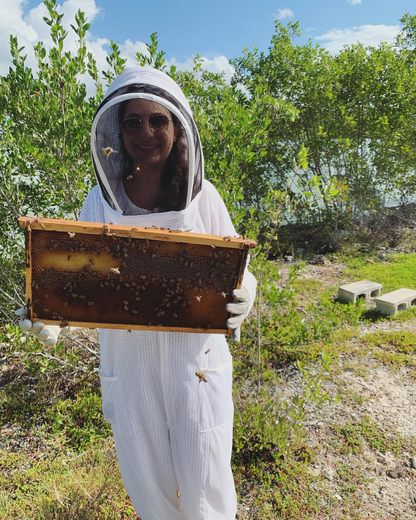Beekeeping it real 🐝
#beekeeping #bees #honey #hivetour #grandcayman #caymanislands