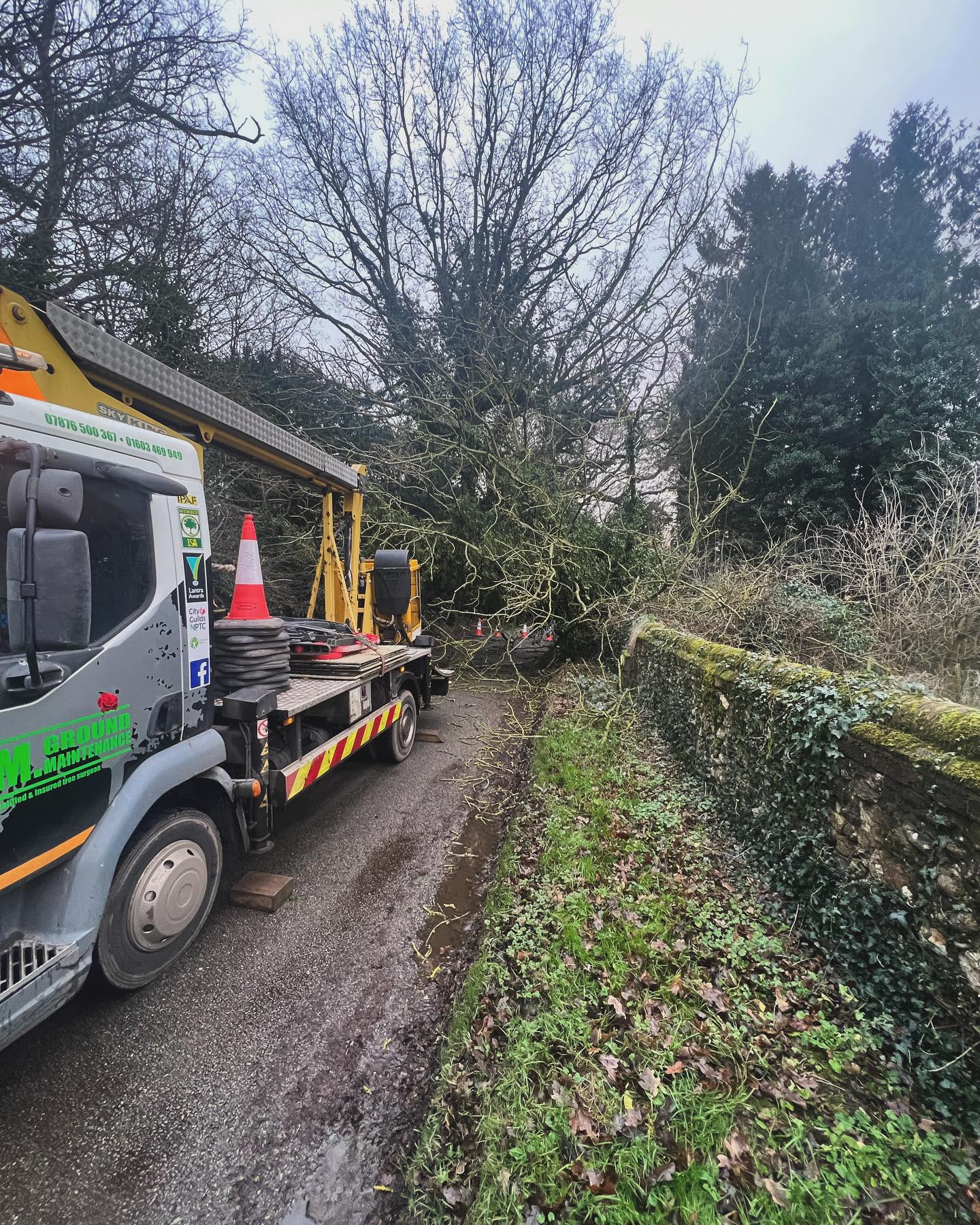 Well it’s been a slightly crazy January for us 🌳🌳 #amgroundmaintenance #norfolk #norwich #norfolkbusiness #norwichbusinesses #edp24 #arb #arboricultureuk