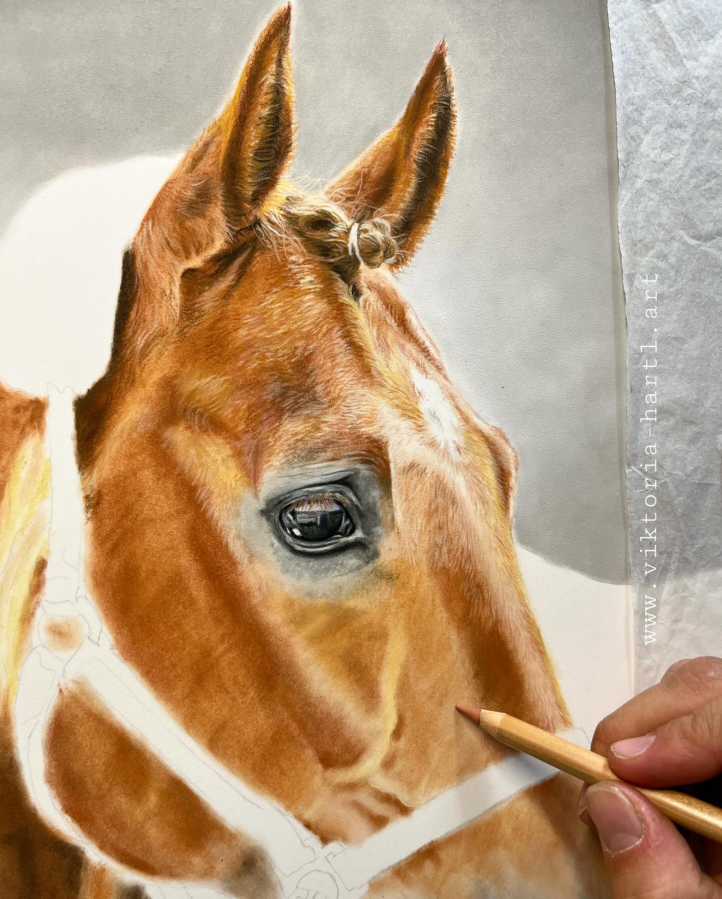 P A S T E L L Z E I C H N U N G
Meine erste Zeichnung mit Pastellstiften!🤩
Schon lange wollte ich diese Stifte ausprobieren, sie haben mich immer fasziniert!
Der Zeichenprozess von J U R I , ihn darf ich mit diesem tollen Medium abbilden.🤎
Bin gespannt, wie ihr dann das fertige Porträt findet.
#pastellstifte #pastellzeichnung #pasteldrawing #pastelpencils #zeichnen #horsedrawing #horseart #pferdeliebe #artbyviktoria