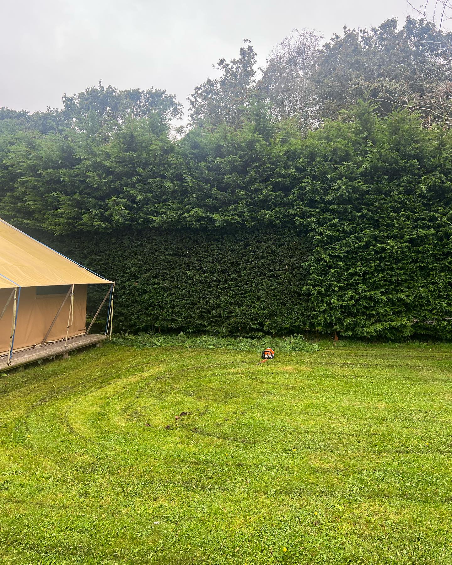 Work recently 🌲🪵 🌳 #amgroundmaintenance #norfolk #suffolk #arb #norwichbusinesses #norfolkbusiness #edp24 #treesurgeon