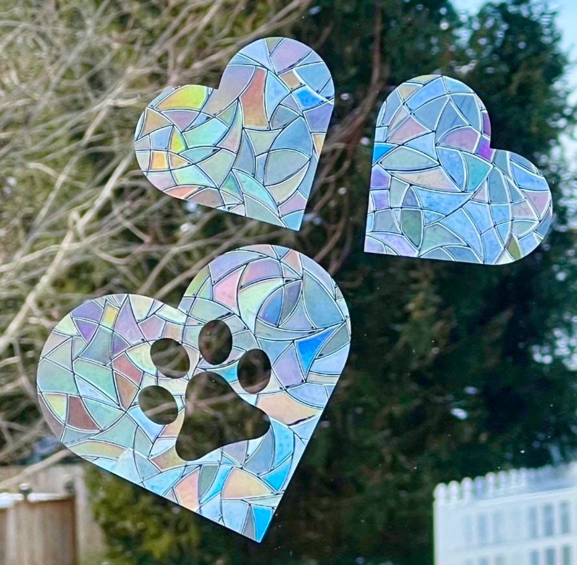 🐾 Every time I see this one I am reminded of my sweet BB 🐕