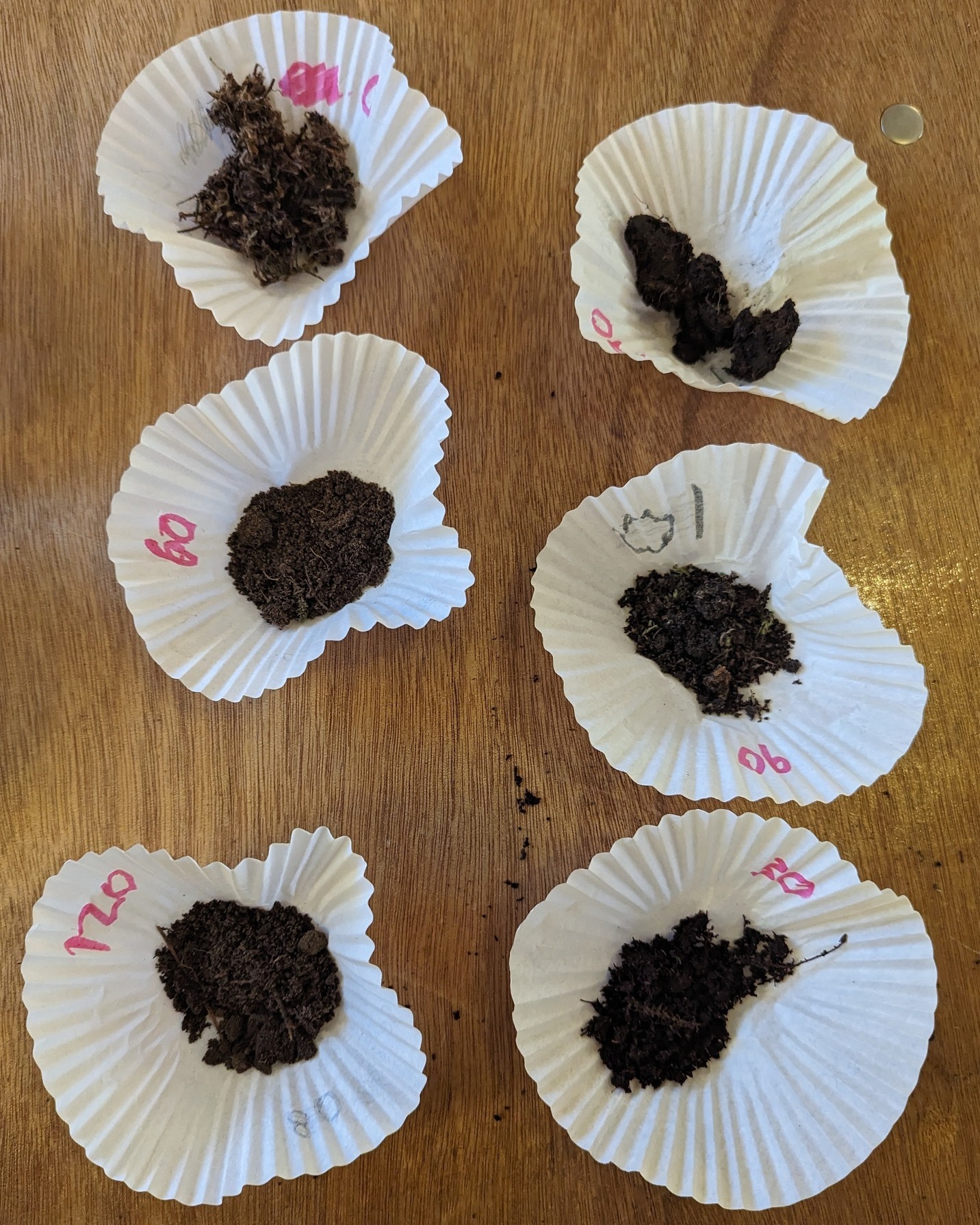 Today is #WorldSoilDay. To celebrate, here is a photo of some soil samples that we recently took with a visiting advanced higher geography class. Our Soils Investigation is a popular session with local secondary schools. We look at factors affecting soil formation, soil profiles, and how soil characteristics change up a slope.🌱
.
.
.
#WorldSoilDay2024 #Geography #AdvancedHigher #GeographyFieldwork #Fieldwork #SoilInvestigation #Aigas #EnvironmentalEducation #OutdoorEducation #NaturedaysAtAigas #SQA #SQAExams #AigasFieldCentre #Wildlife #WildlifeEducation #NatureEducation #Highlands #Scotland #ScottishHighlands
