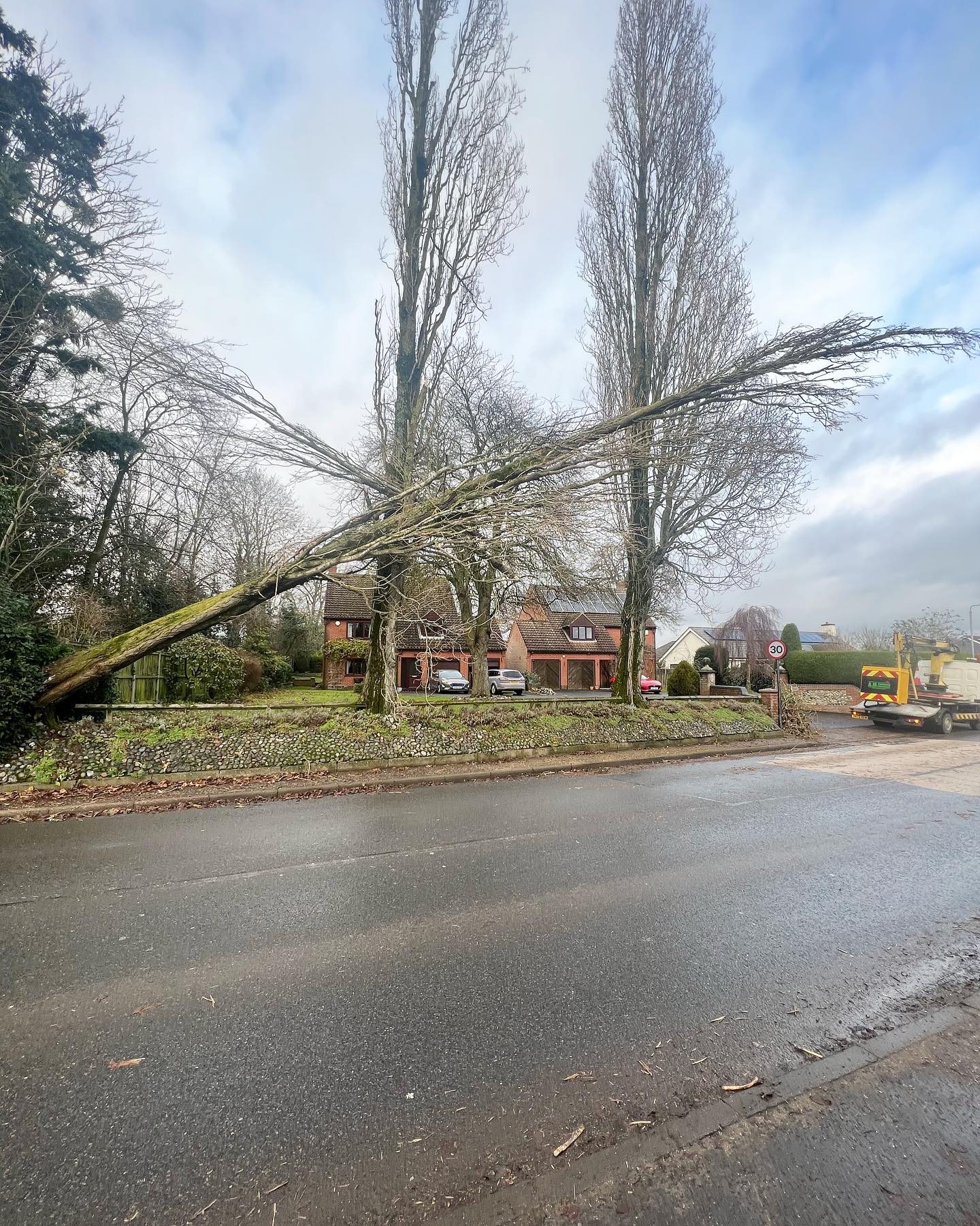 A large storm damaged Poplar we removed a few weeks ago. The tree was across both carriageways so traffic management had to be used. #amgroundmaintenance #norfolk #norfolkbusiness #norwichbusinesses #norwich #edp24 #arb #treesurgeon 🌲🌲