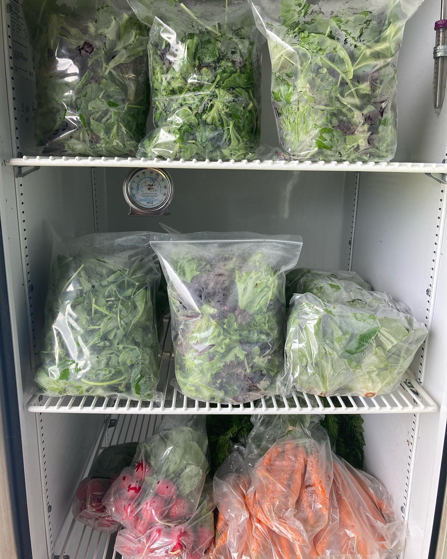 The Bakie Farm Fridge is now open!
The fridge is self serve and is open daily 8am- 6pm.
Right now it’s stocked with:
@wild_fern_farm_nh lettuce mix, spring mix, arugula, radishes and @hungry_heart_farm carrots!
35 Powwow River Road, Kingston
#nhagriculture