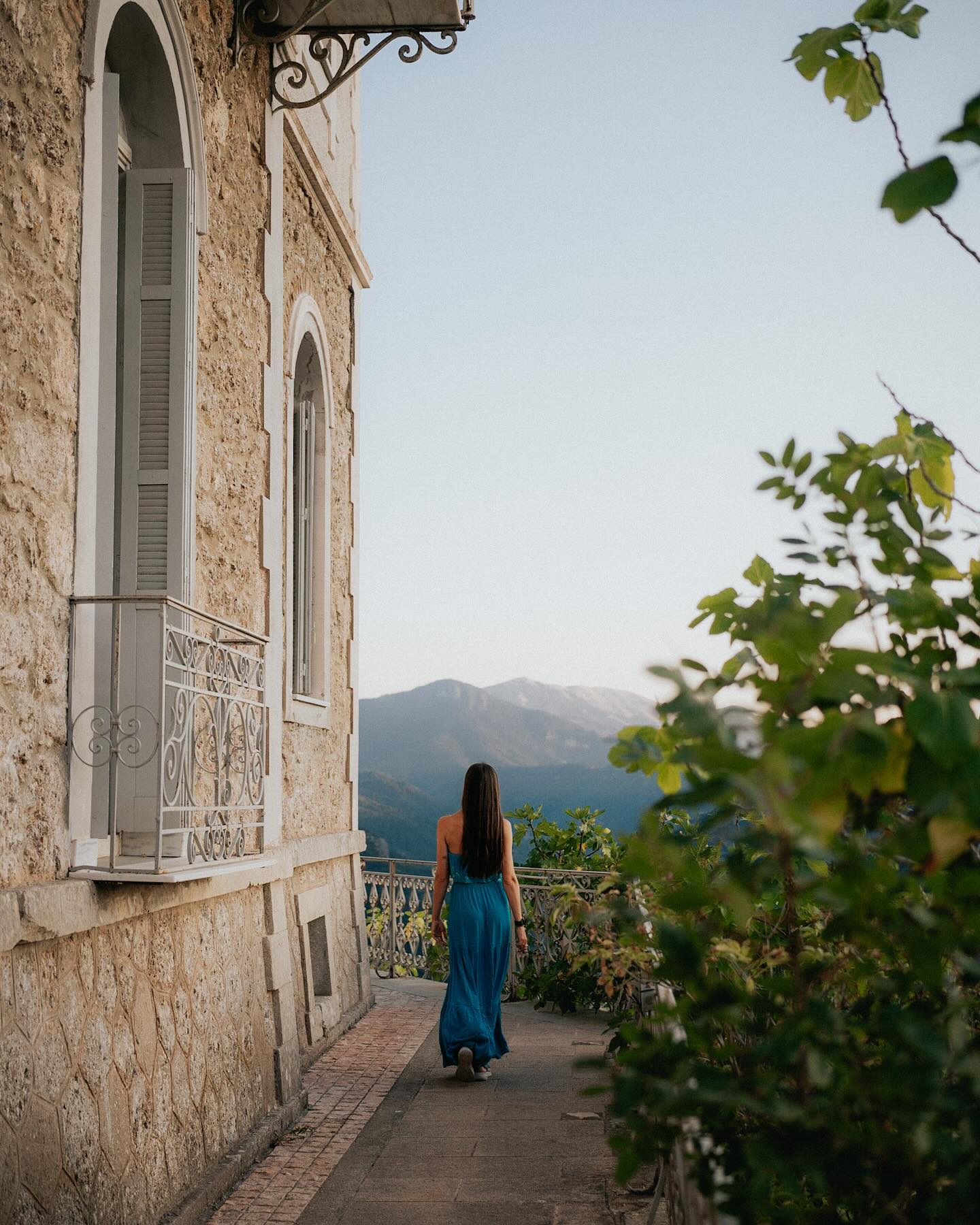 Lost within the sky and the endless greenery of the old growth forest