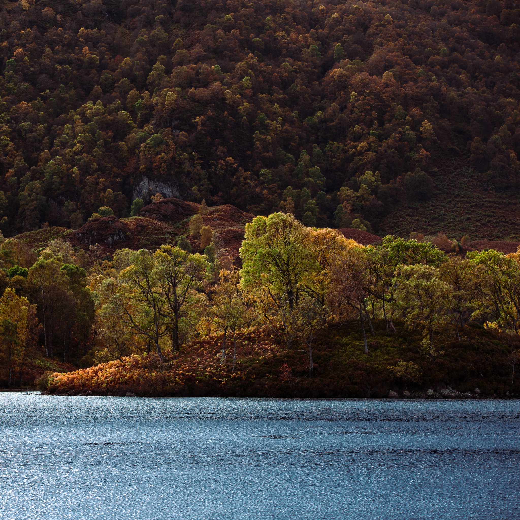 A quiet reminder that the best things in life don’t ask for attention - they just are.
#lochkatrine #scottishhighlands #trossachs #scotlandexplore #landscapelovers #scottishlandscapes #autumnlight #natureinspired #forestmagic #wildscotland #hiddenscotland #scotlandshots #explorescotland #mountainviews #treescape #naturecaptures #scenicviews #outdoorphotography #visitlochlomond #wanderlustscotland #highlandadventures #naturephotography #seasonalbeauty #scotlandlover #goldenlight