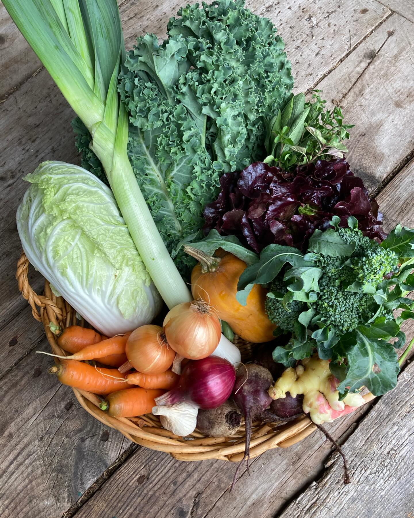 Get excited about your veggies again, even in the fall!
We are offering a 6-week Fall Veggie Box CSA so that you can continue to eat with the seasons and enjoy the incredible, yummy (certified organic) BOUNTY of the fall!
CSA begins next Thursday, October 10th and runs for 6 weeks.
These are pre packed boxes of certified organic veggies grown at Wild Fern Farm. You get a weekly email with recipes, storage tips and preserving ideas.
Pick up 2pm- 6pm at Bakie Farm in Kingston or at the @eastkingstonlibrary.
Link in bio for all the details.
#eatwiththeseasons
#fallvegetables
#certifiedorganicveggiebox
#eatingwiththeseasonsisthebest