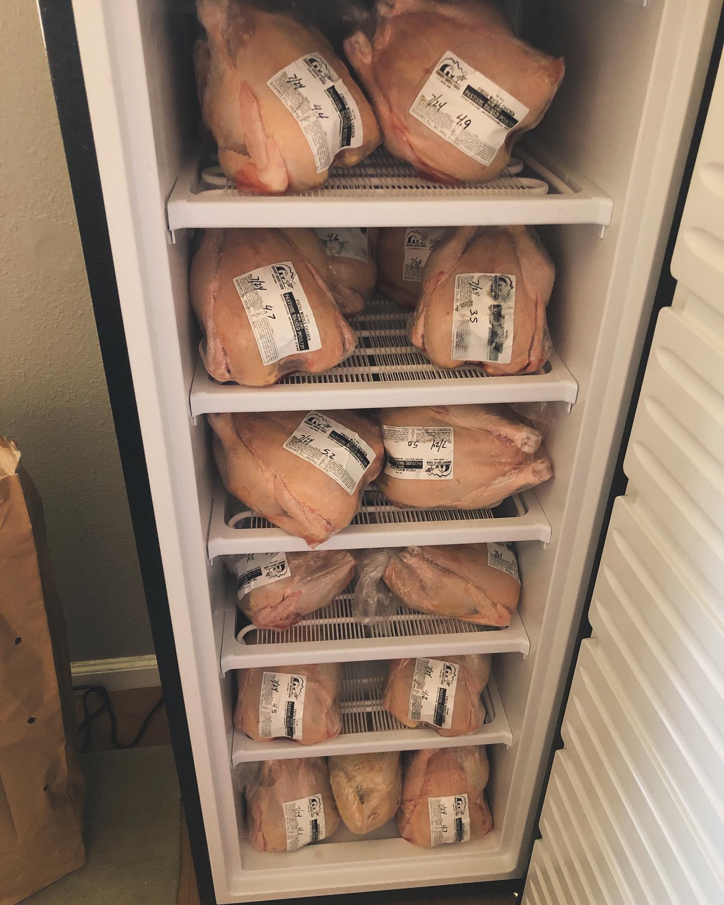 First freezer load of pasture raised chickens! These happy pasture birds are finished with corn soaked in goat cheese whey. There’s no other chicken like it in the world. Fork tender and flavorful! DM me for purchase, they are $6/lb and each whole chicken is around 5lbs.
#SustainableAgriculture #SupportLocalFarmers #CommunitySupported #SustainableFarming #FarmLife #NaturalLiving #PasturedMeat #GrassFed #EthicalFarming #RegenerativeAgriculture #SmallFarms #HealthySoil #CommunitySupportedAgriculture #SustainableHarvest
#Sustainability #LocallySourced #FreshProduce #EthicalFarming #GreenLiving #WomanOwned #FemaleFarmer #WomenInAg #bossbabe #womeninagriculture