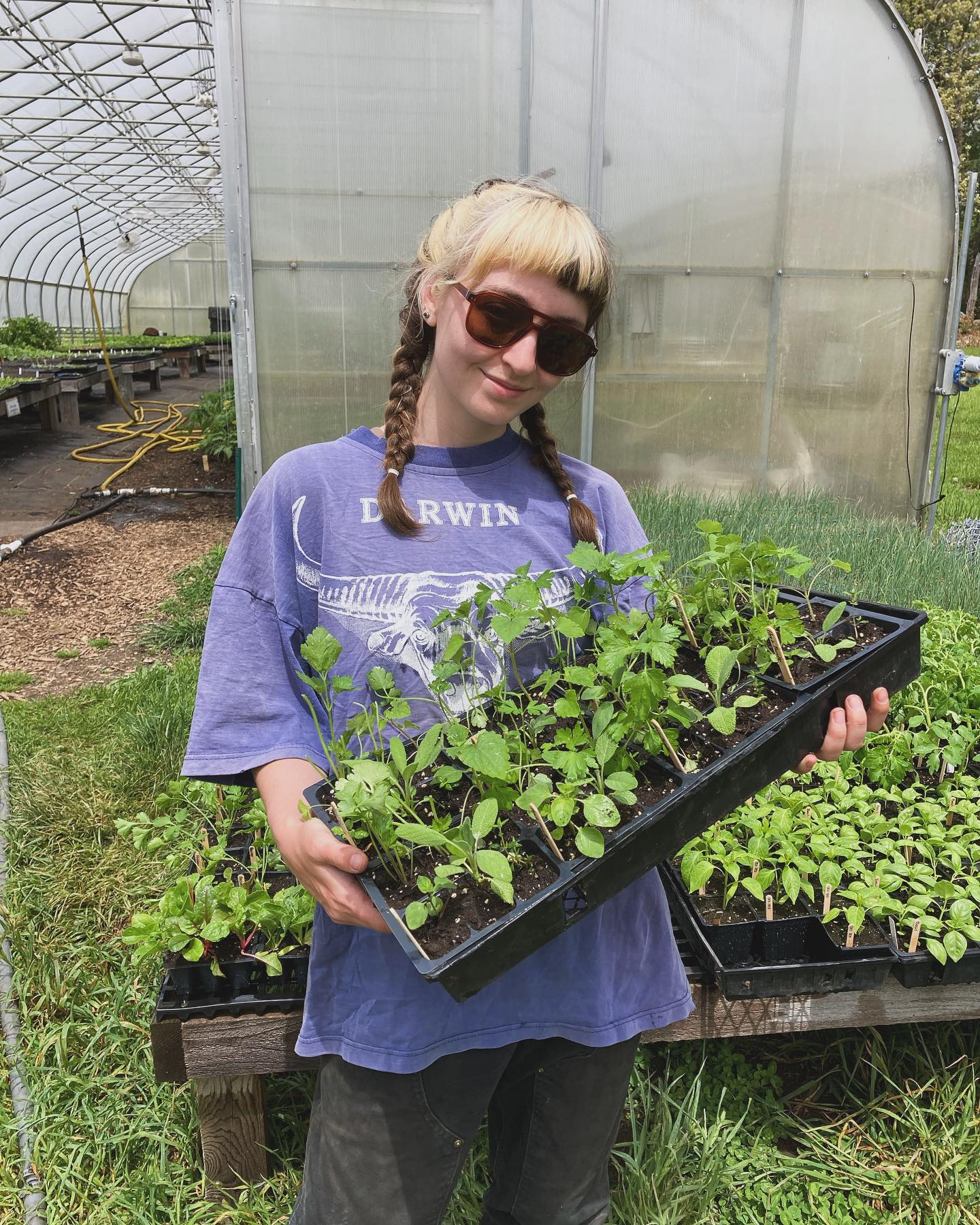 We are prepping seedlings for sale at the Portsmouth Farmer’s Market this Saturday, 8-12 at City Hall!
We will have a good selection of certified organic vegetable and herb seedlings for your garden. Grown with @vermontcompost potting soil and hardened off, they are ready to plant but can also wait a couple of weeks in their pots if you aren’t ready to plant.
This will also be our first Portsmouth market of the season! Liz is so looking forward to seeing all of your faces and to talk planting your garden!
#nhagriculture #growyourfood