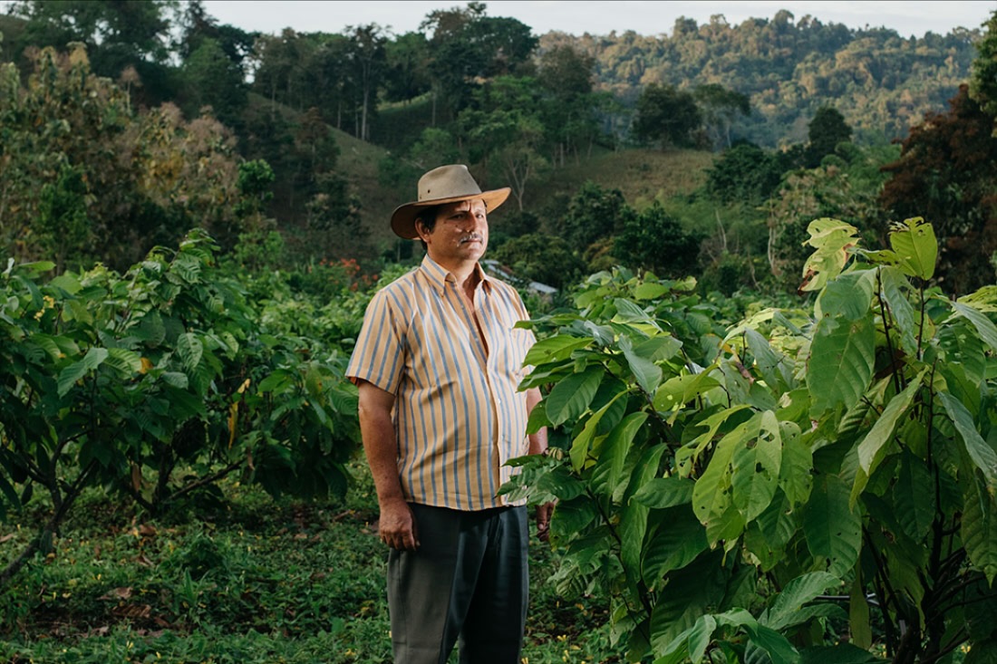 Erfolgreiche Ernte dank Agroforstwirtschaft in Ecuador!
Wusstest du, dass unser Kakao aus nachhaltigem Anbau in sogenannten Waldgärten stammt? Bei dieser Anbaumethode – auch Agroforstwirtschaft genannt – wachsen Kakaobäume gemeinsam mit anderen Pflanzen wie Obstbäumen und Holzgewächsen. So entsteht ein kleines Ökosystem, das den Boden nährt, Wasser speichert und die Pflanzen vor extremen Wetterbedingungen schützt.
Die diesjährige Ernte war dank dieser natürlichen Methode besonders reichhaltig. Keine Einbußen durch Klimaveränderungen, sondern gesunde Kakaobohnen aus einem gesunden Wald!
Unsere Partner in Ecuador setzen auf diese nachhaltige Praxis, um die Biodiversität zu fördern und langfristig hochwertige Kakaobohnen zu produzieren.
Mit jedem Bissen unterstützt du den Weg zu einer nachhaltigen und klimafreundlichen Zukunft – direkt zu dir nach Hause!
#Agroforstwirtschaft #Nachhaltigkeit #Kakaoanbau #Ecuador #lachocolatera #Waldgärten #Klimaschutz #faireschokolade #herencia #esmeraldas #ecuador