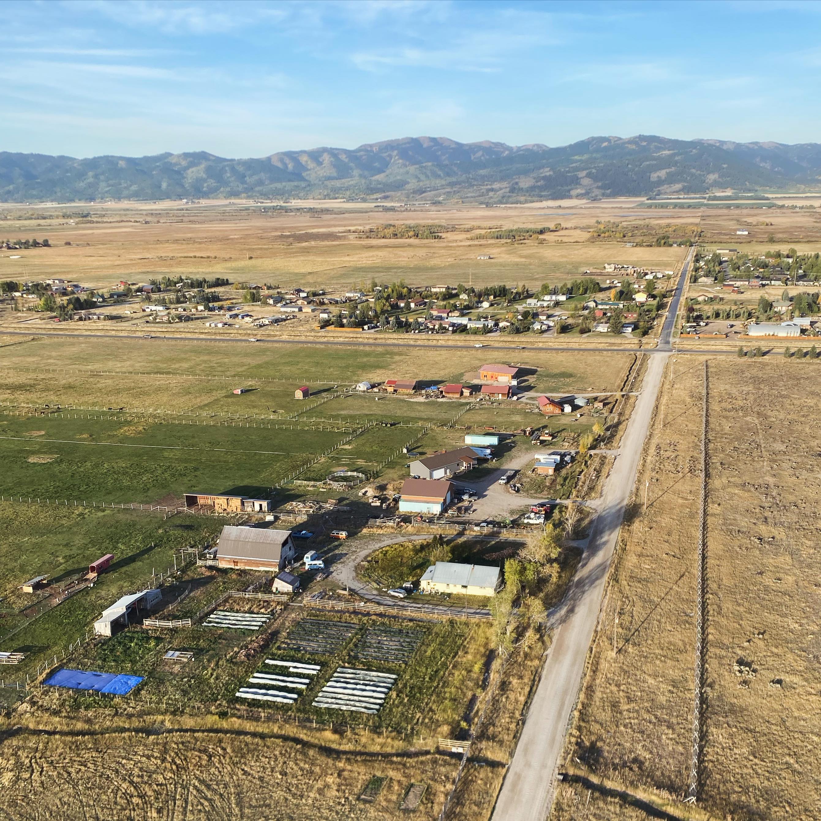 Cool aerial photo of the farm from a hot air balloon! Fills my heart to see all the hard work I put in after my first season digging and planting the front acre.
Big thanks to my awesome neighbor @leisamoulton for the photo, and for putting up with our farming shenanigans. I love our community so much ❤️
#SustainableAgriculture #SupportLocalFarmers #CommunitySupported #SustainableFarming #FarmLife #NaturalLiving #PasturedMeat #GrassFed #EthicalFarming #RegenerativeAgriculture #SmallFarms #HealthySoil #CommunitySupportedAgriculture #SustainableHarvest
#Sustainability #LocallySourced #FreshProduce #EthicalFarming #GreenLiving #WomanOwned #FemaleFarmer #WomenInAg #bossbabe #womeninagriculture